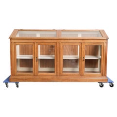 Vintage counter/museum cabinet with 4 doors and loose shelves