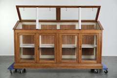 Vintage counter/museum cabinet with 4 doors and loose shelves