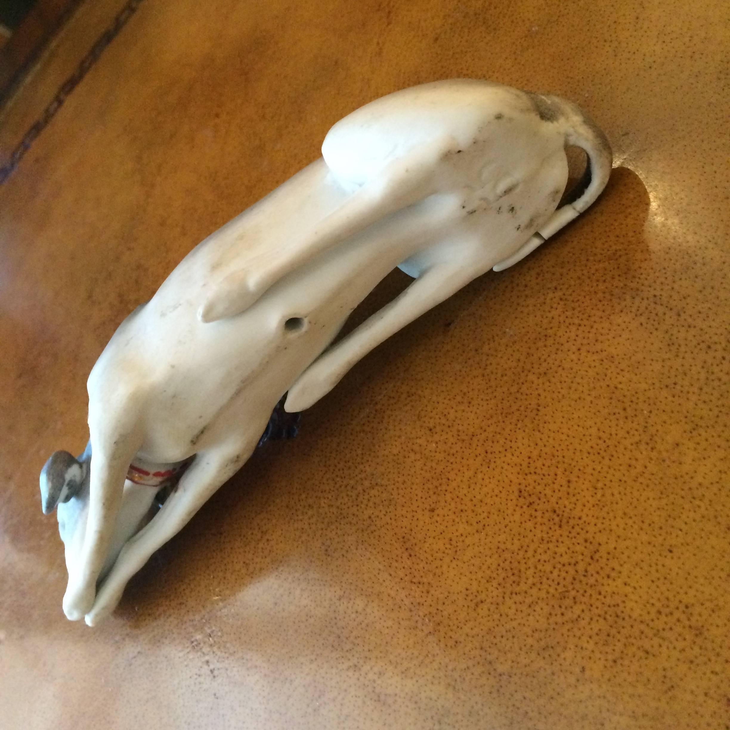 English Elongated Gorgeous Staffordshire Greyhound Dog