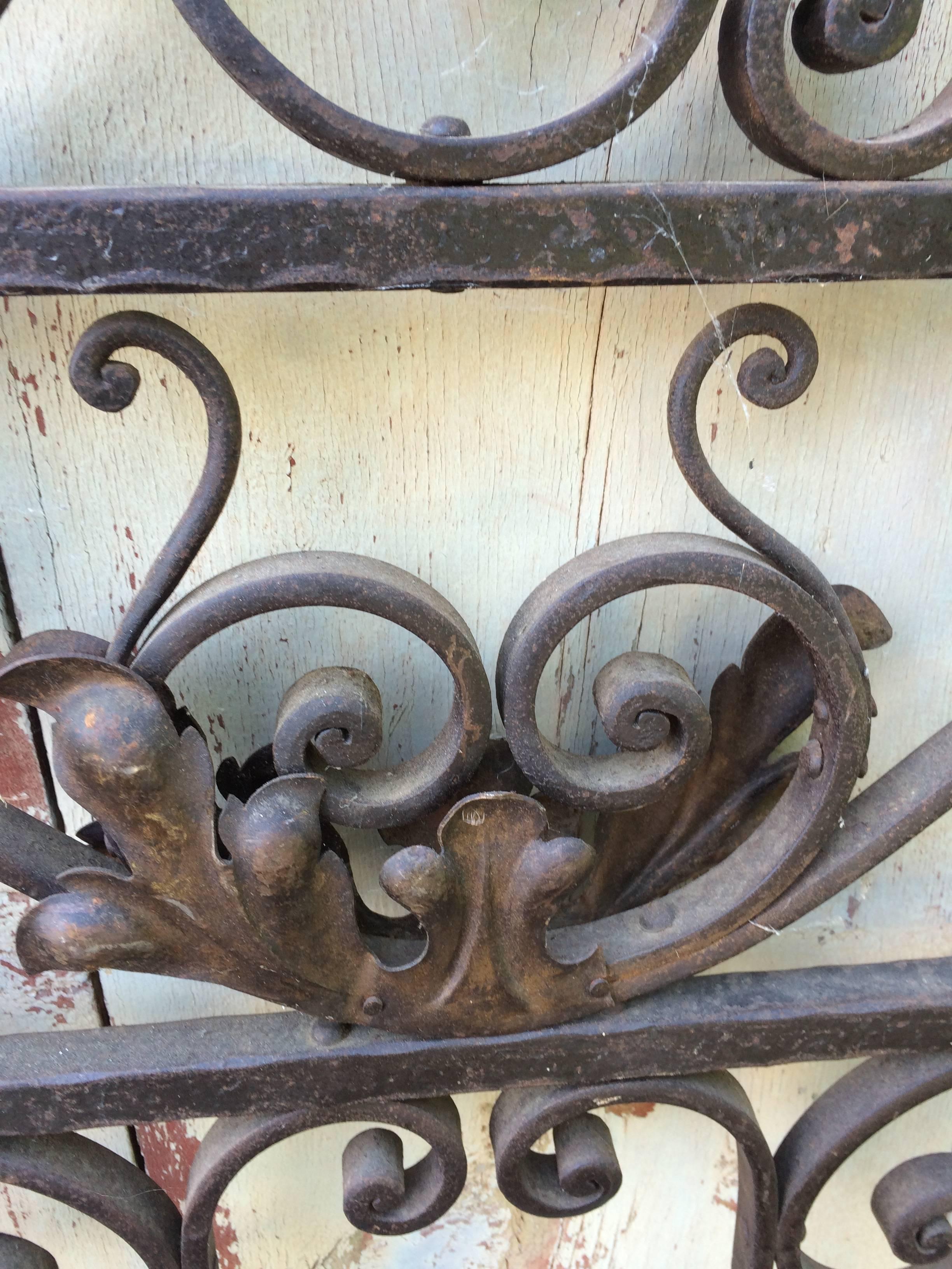Ornate 19th Century Wrought Iron Garden Gate 1