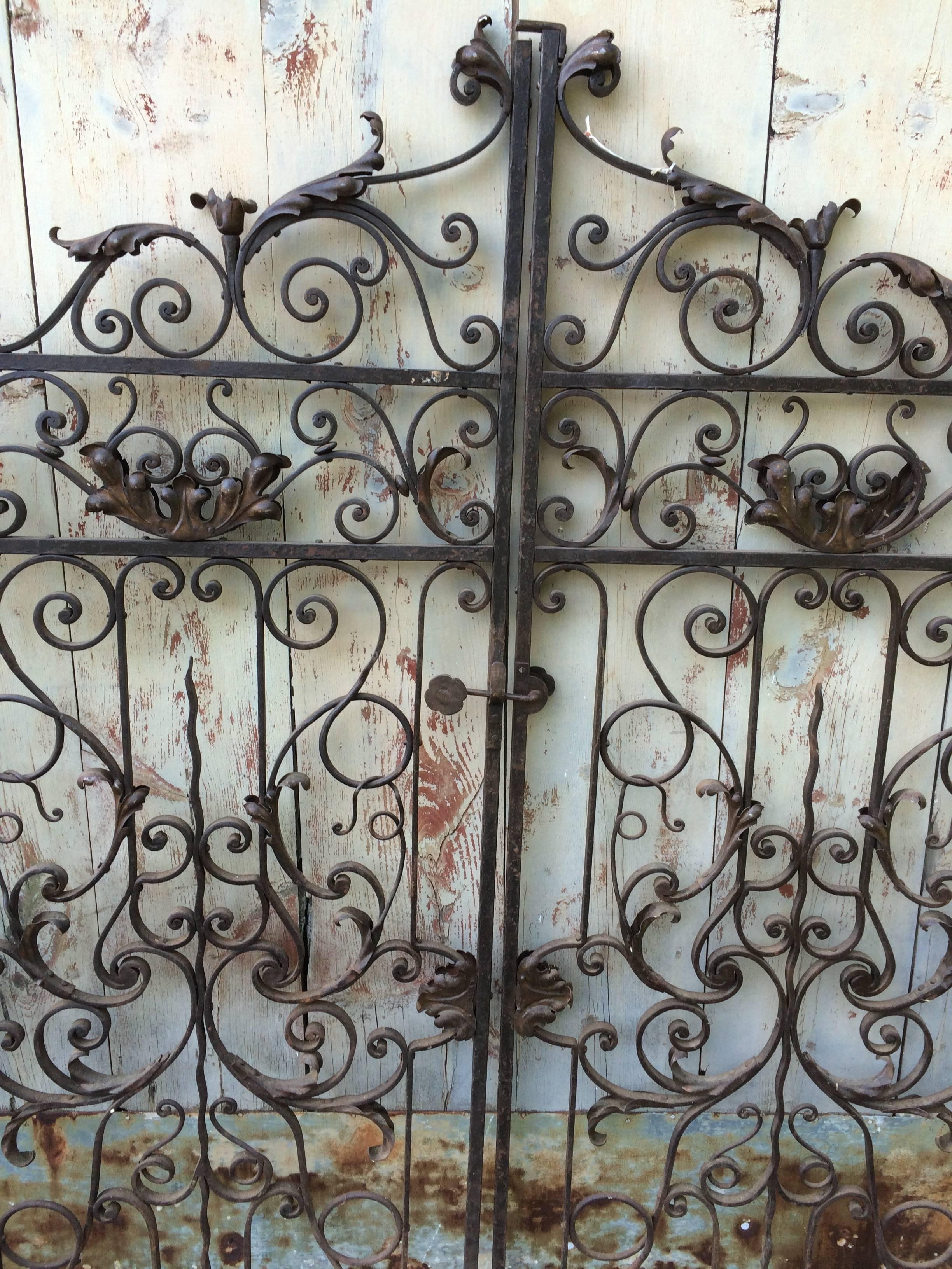 Magnificent wrought iron garden gate having two large pieces with ornate curlicue design and two smaller pieces on each side. A rare find. Would make an amazing architectural headboard.
