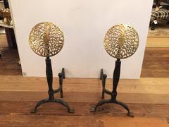 Pair of Stylish Wrought Iron and Brass Medallion Andirons