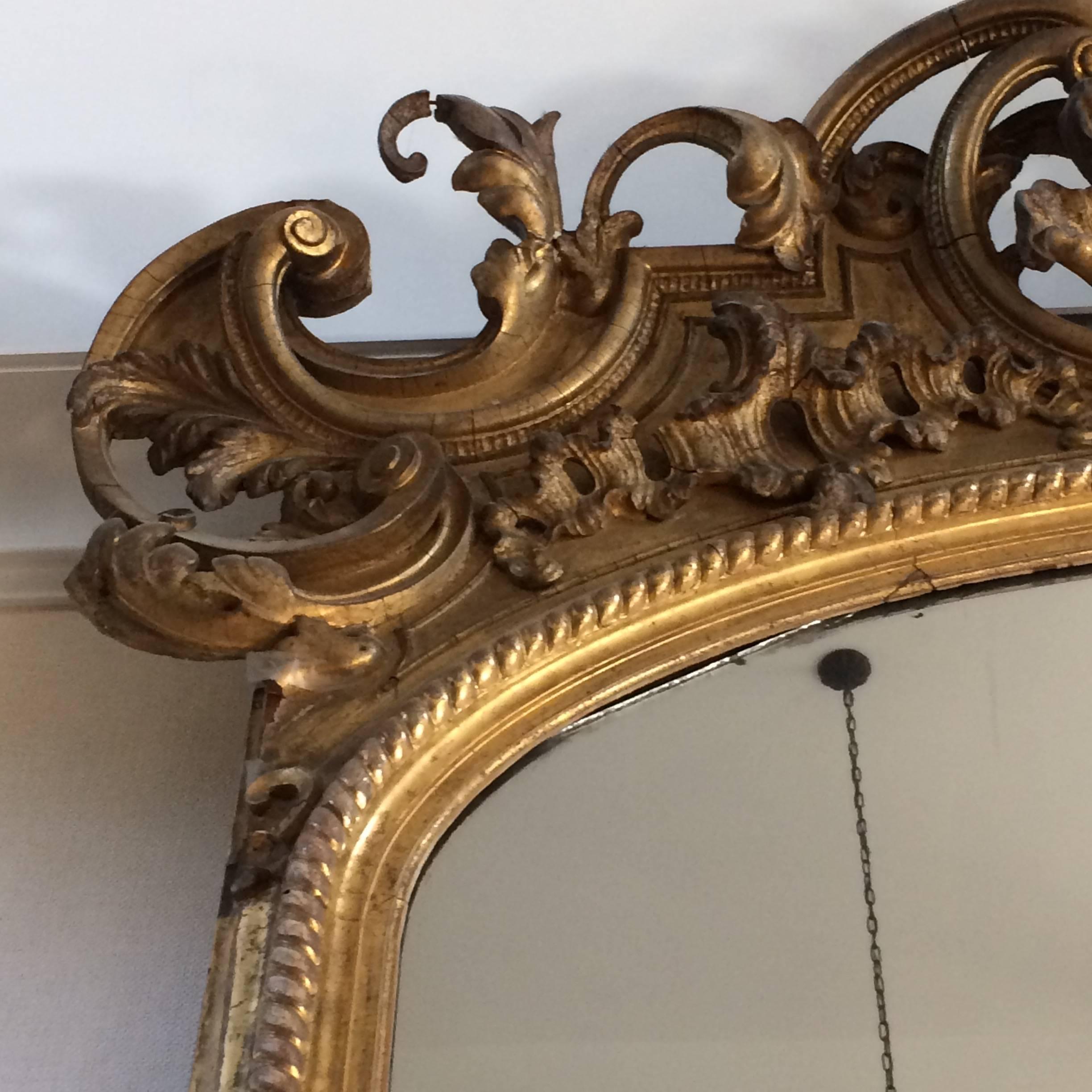 19th Century Palacial Antique Giltwood Mirror