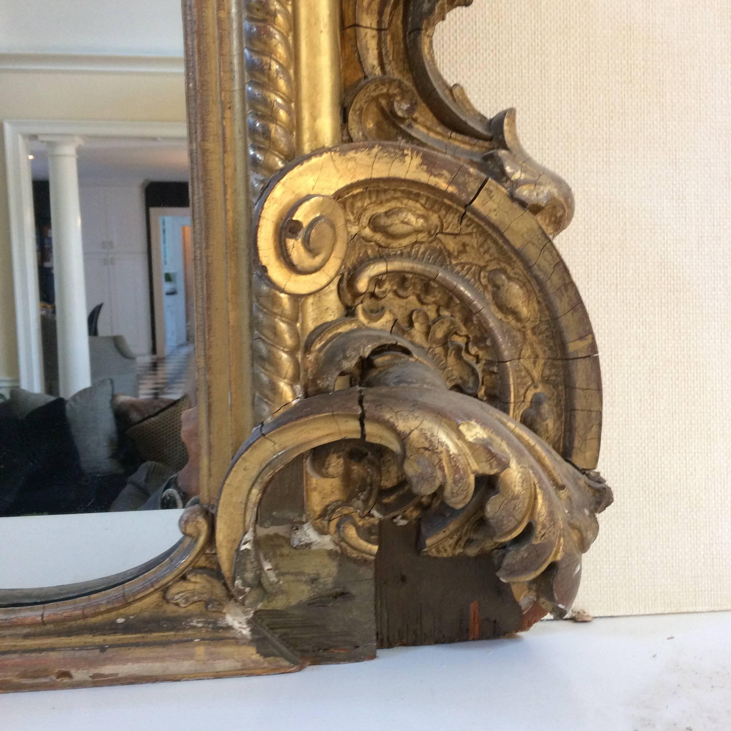 Palacial Antique Giltwood Mirror 5