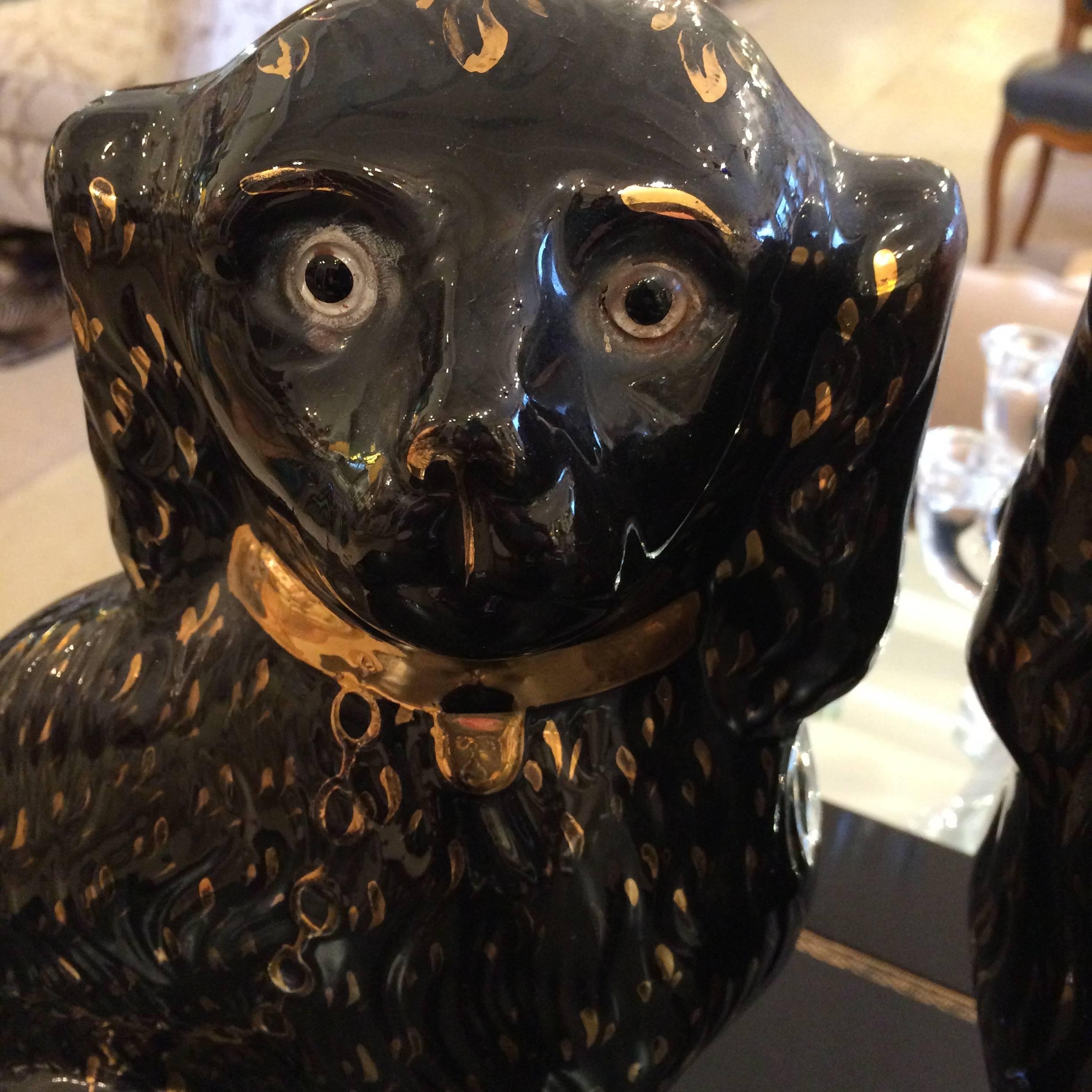 Eye-catching and elegant large pair of black spaniels, embellished with gold collars life-like eyes and hand-painted detailing.