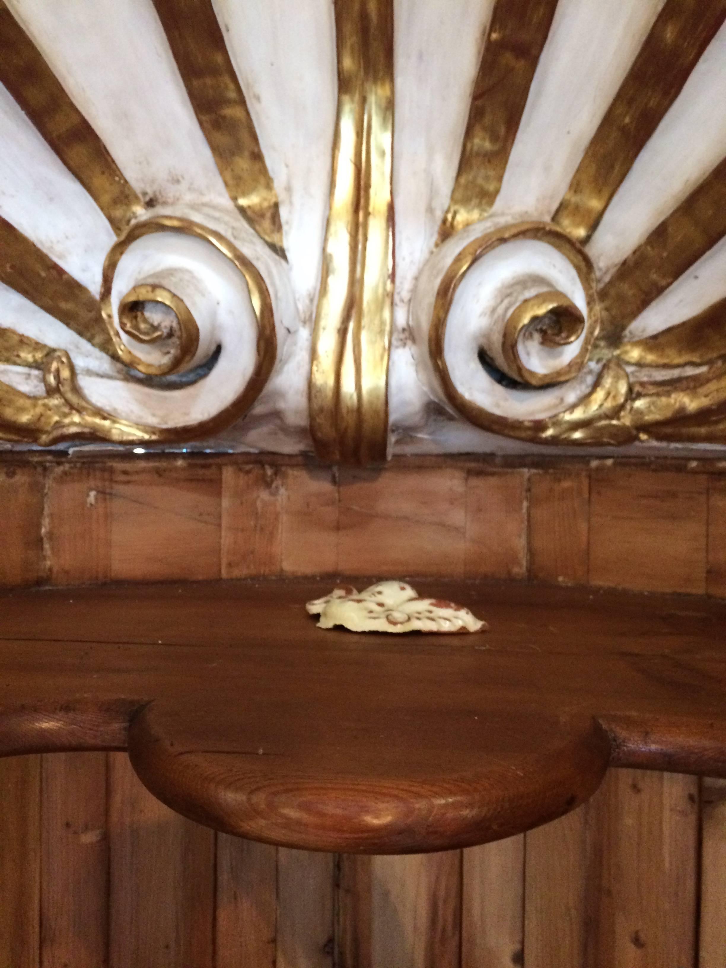 scallop bookshelf