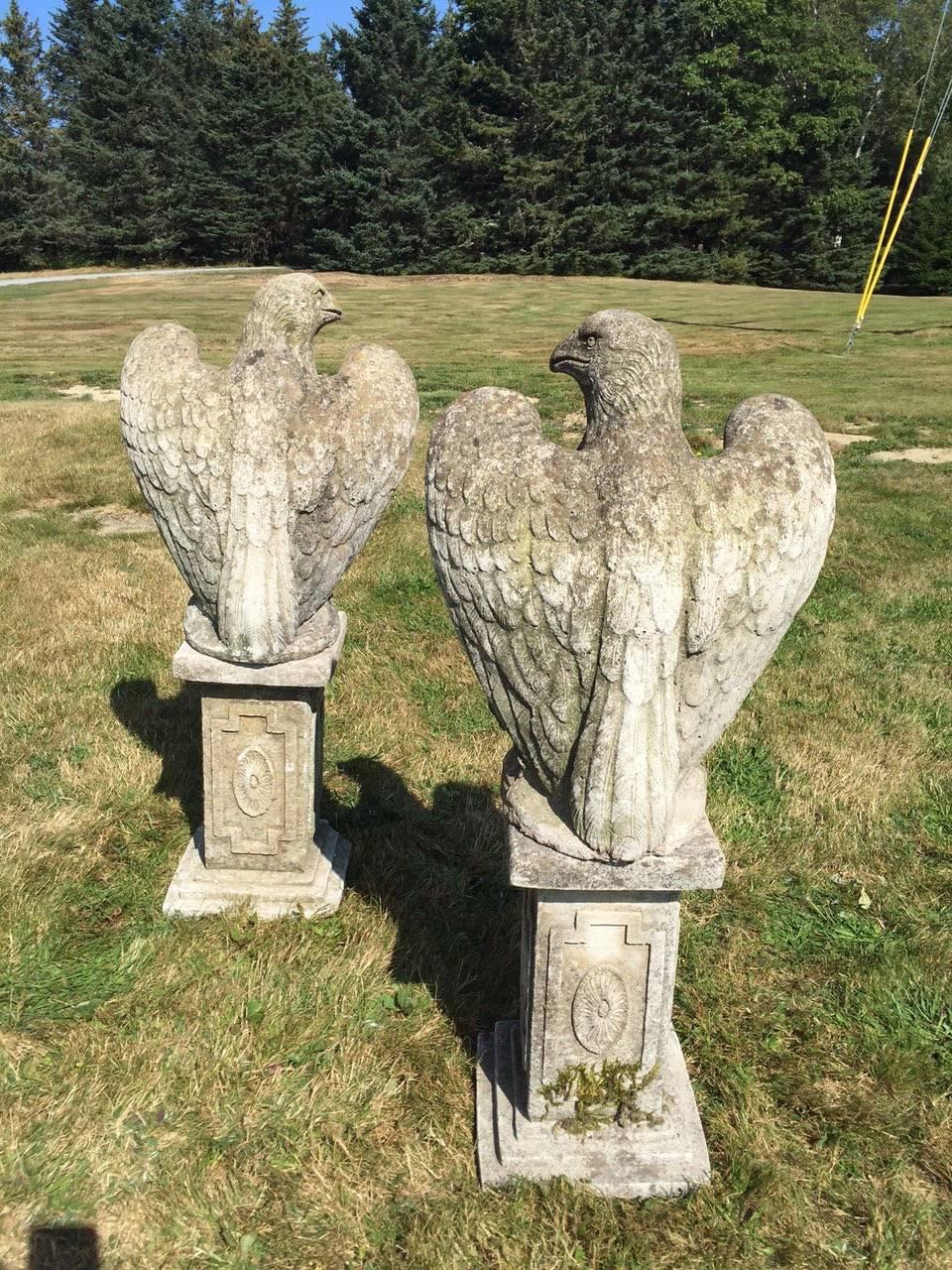 Impressive pair of British carved cement eagles heavily carved both front and back with gorgeous details on the feathers. They sit on two pedestals, which were probably at the end of a long British driveway. Each eagle is 23” tall, 19” wide and 11”