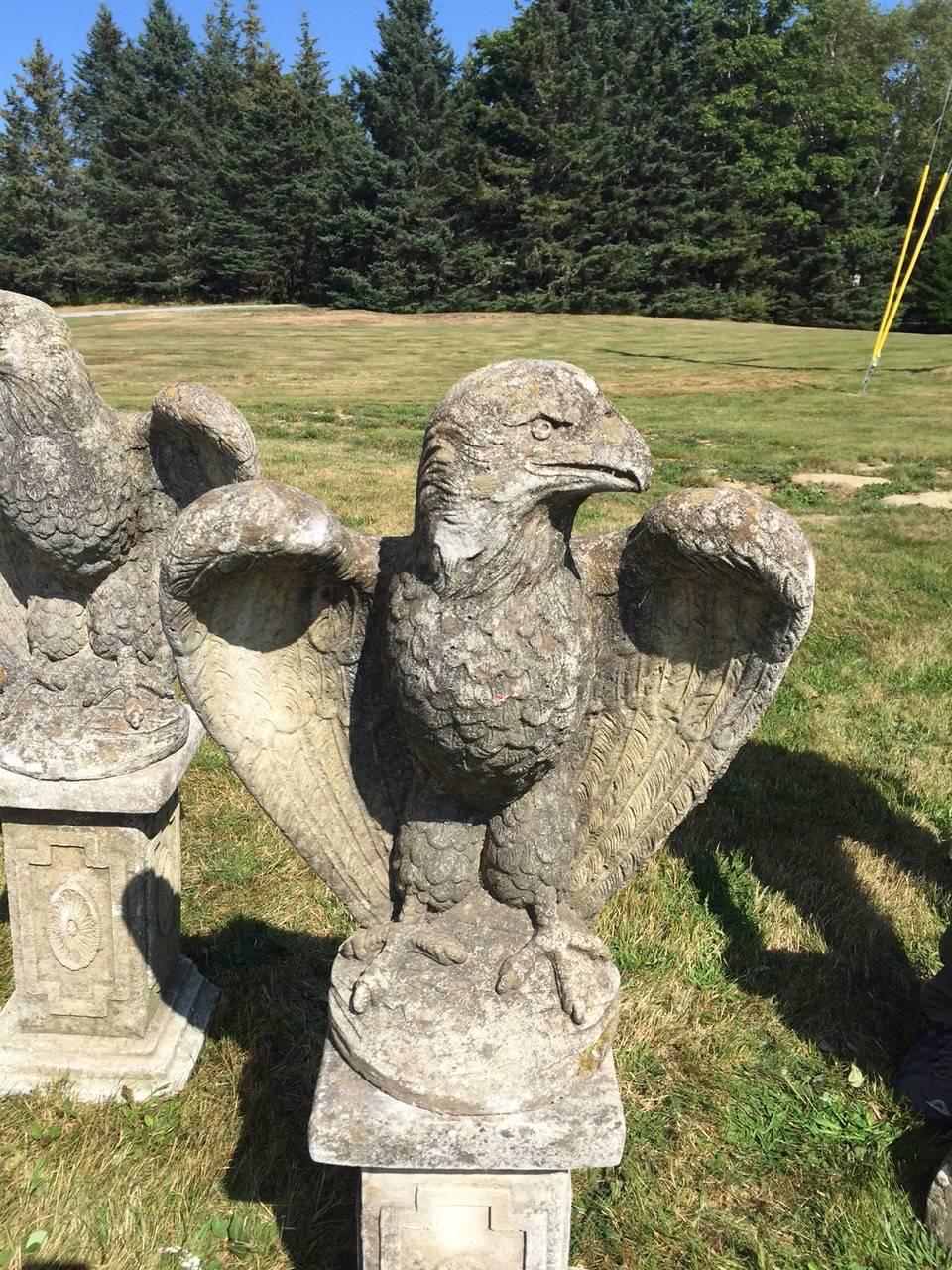 English Impressive Pair of Cement Eagles on Pedestals