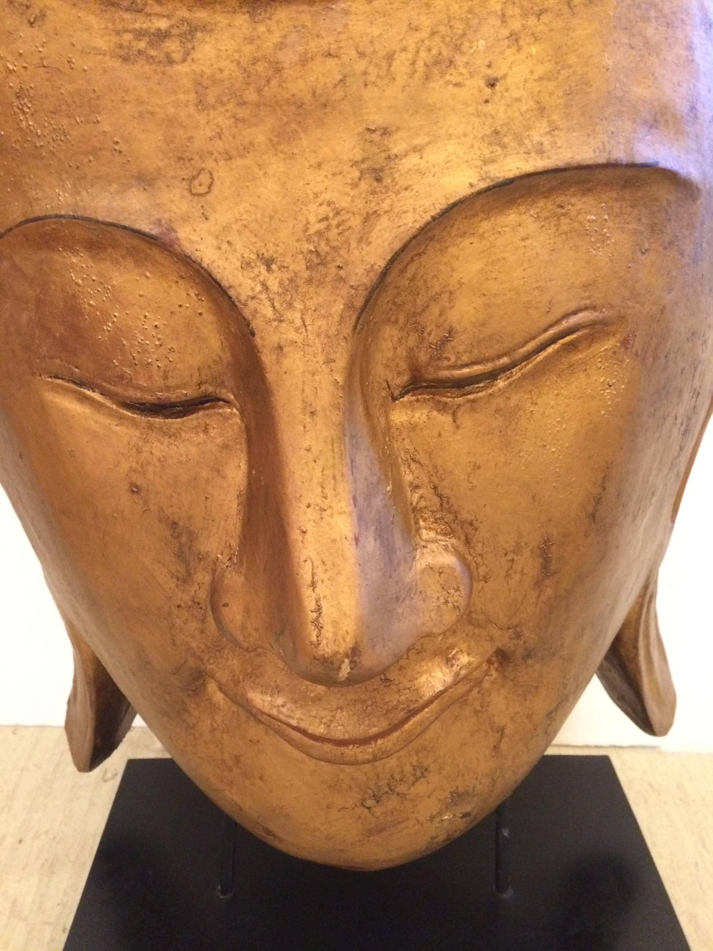 Mid-20th Century Very Large Dramatic Buddha Head