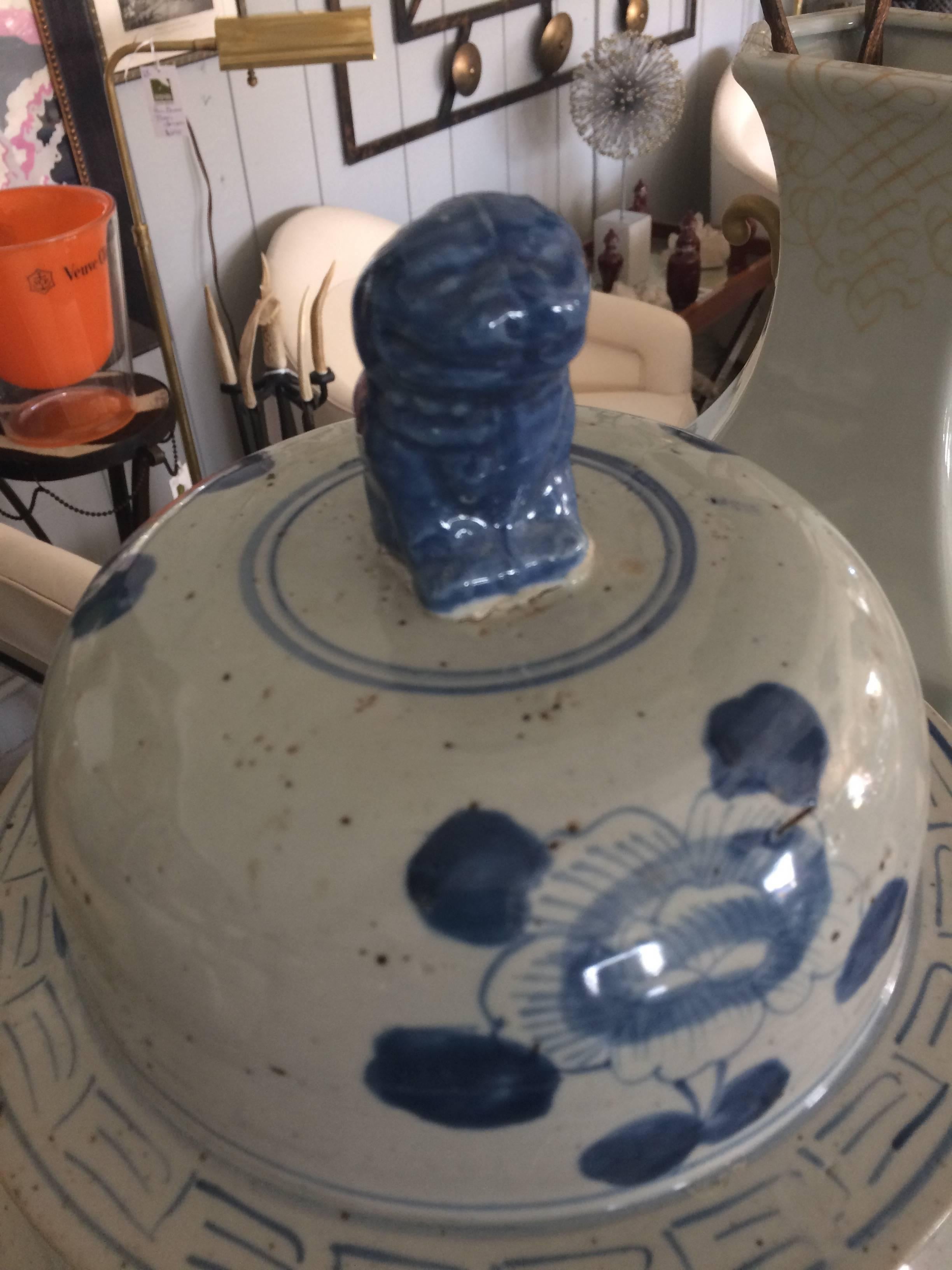 Two large lidded blue and white ginger jar ceramic urns in the Chinese style. Foo dog handles at the top.