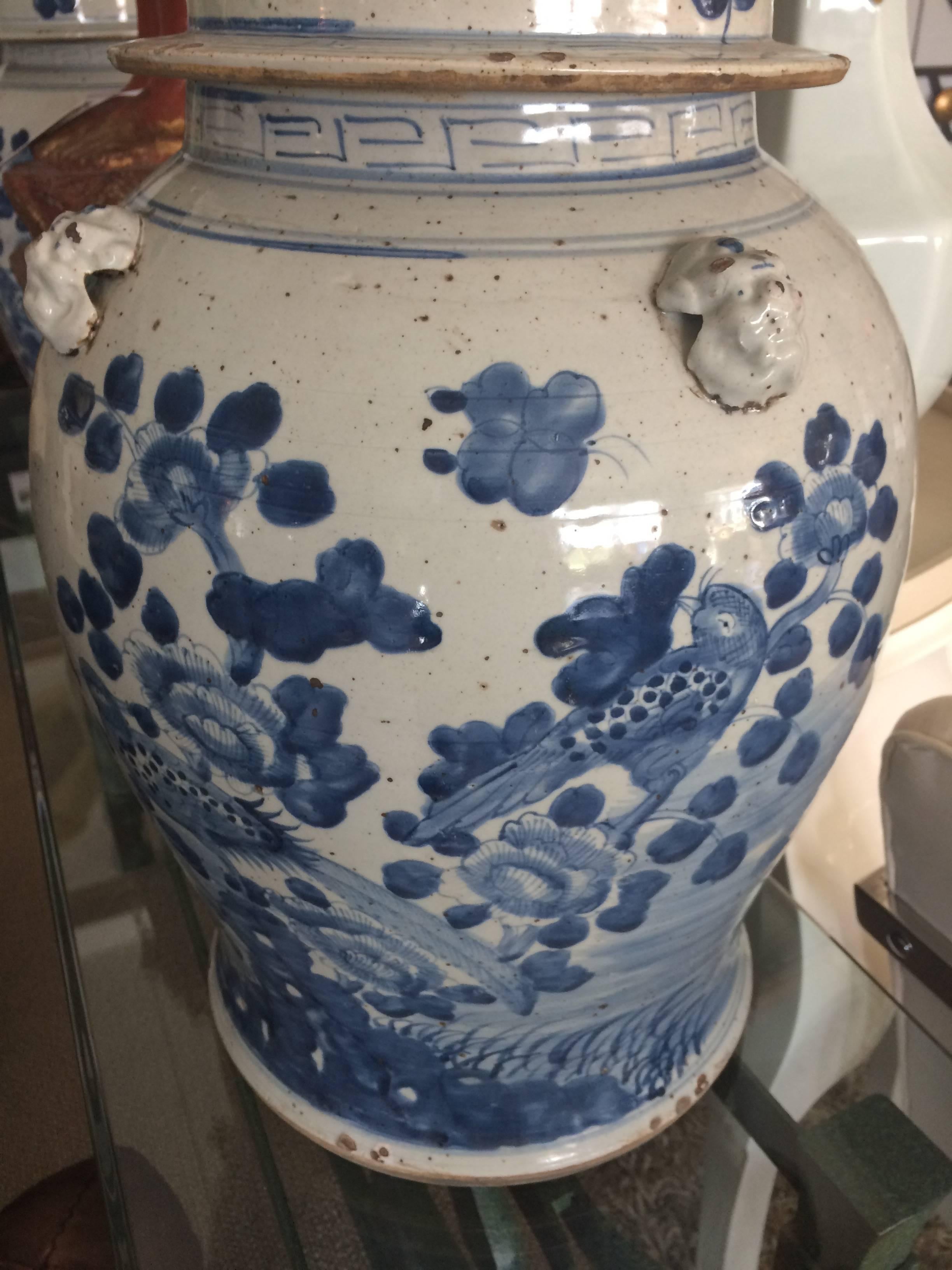 large chinese urns