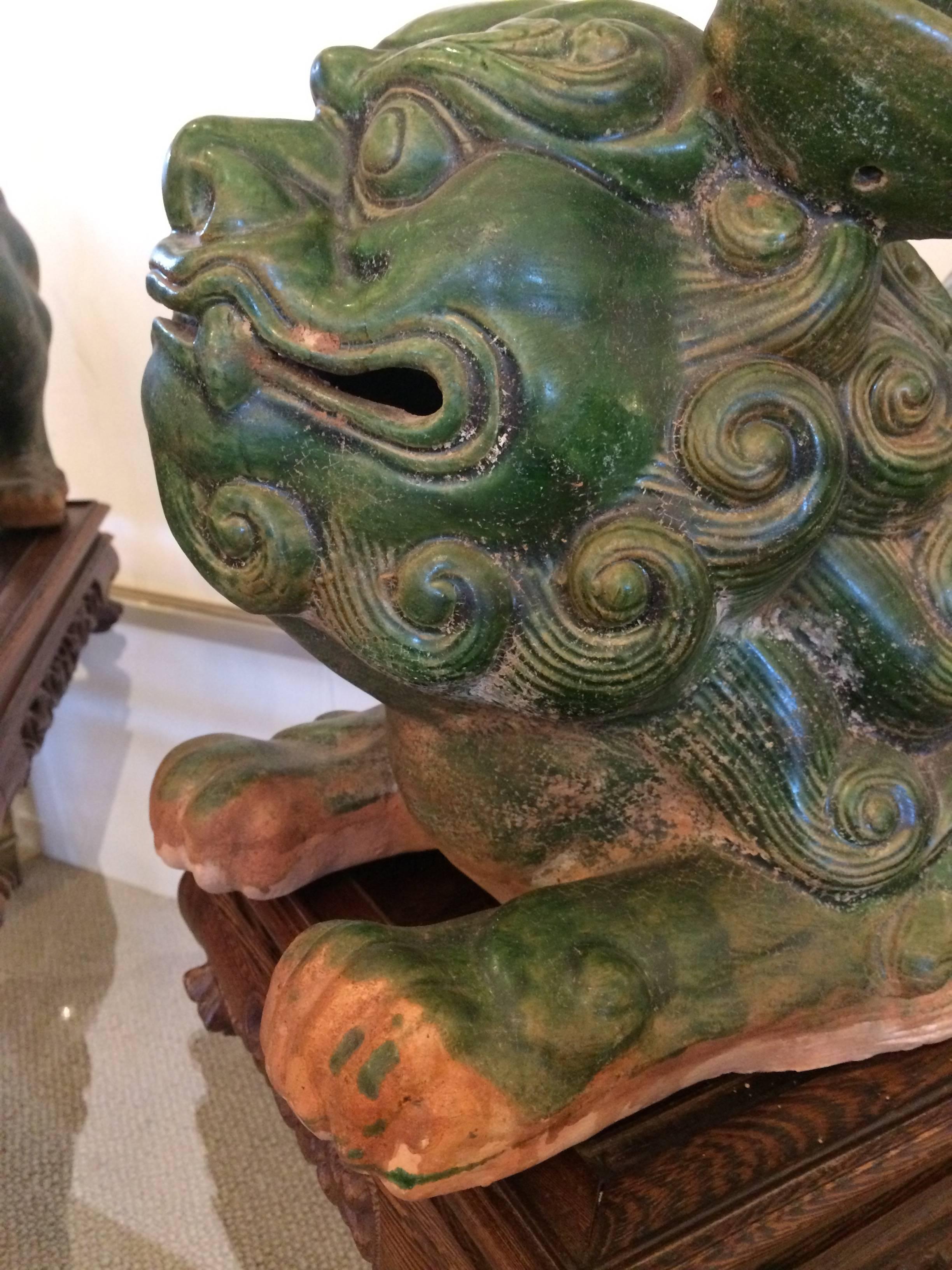 Chinese Export Monumental in Scale Fabulous Green Terracotta Foo Dogs on Stands