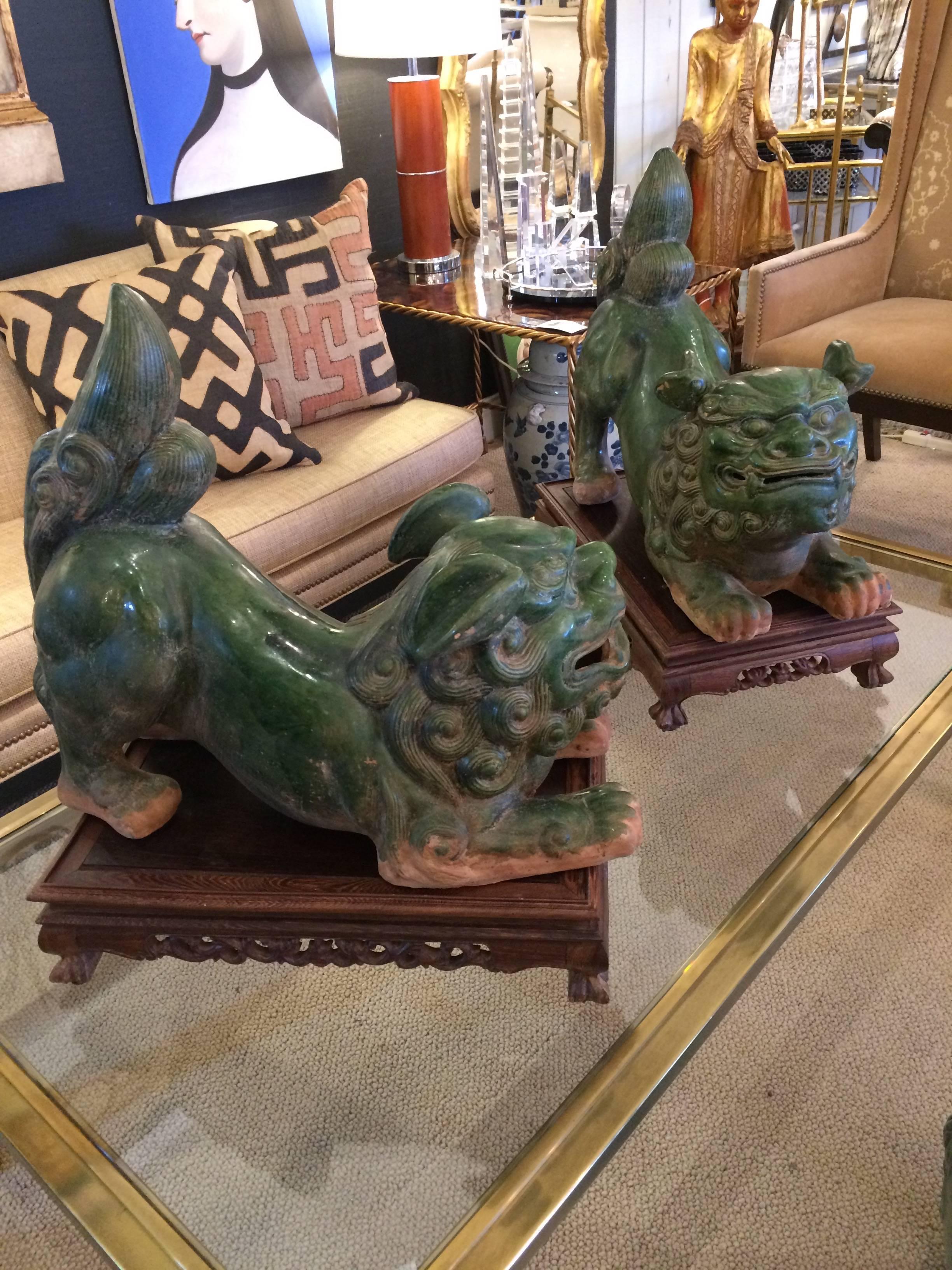 Mid-20th Century Monumental in Scale Fabulous Green Terracotta Foo Dogs on Stands