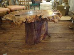 Organic Burlwood and Stump Coffee Table