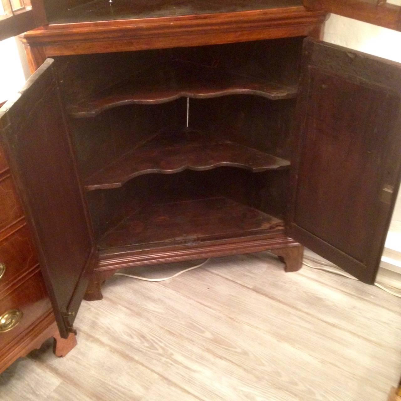 Rare Diminutive George III Rosewood Corner Cupboard In Excellent Condition In Hopewell, NJ