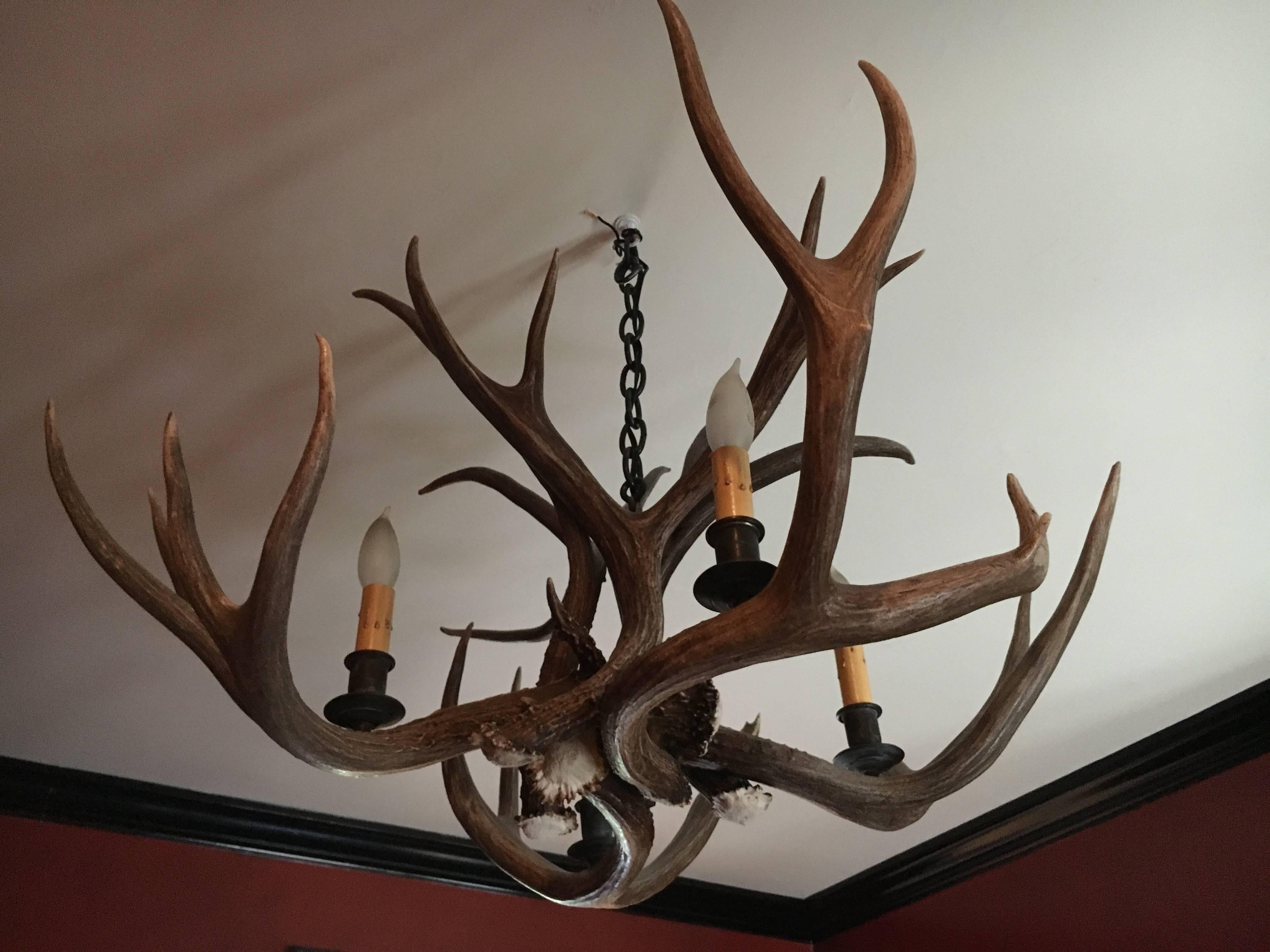 French Handsome Pair of Vintage Antler Chandeliers