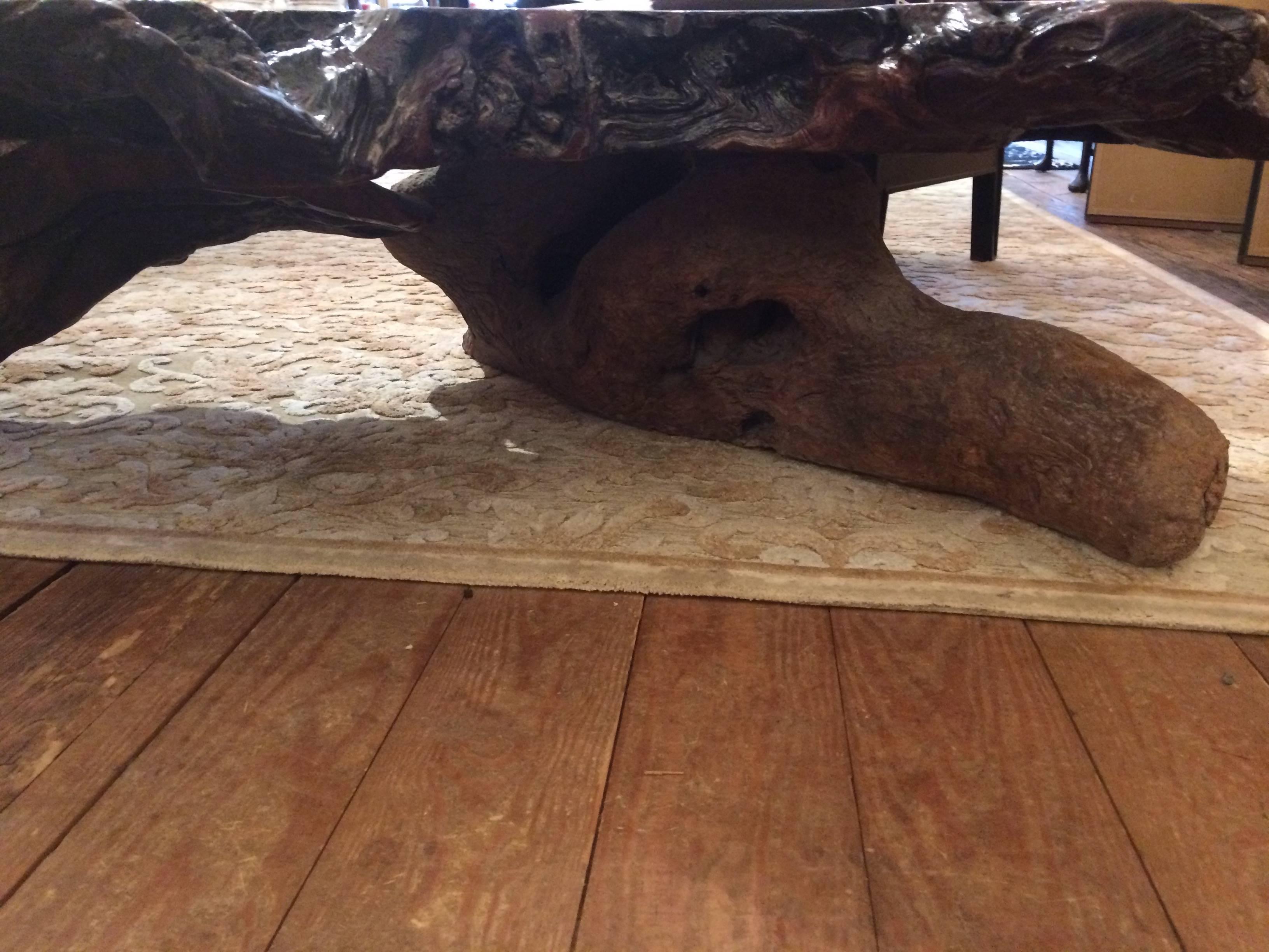 American Very Dramatic Organic Nakashima Style Large Root Wood Coffee Table