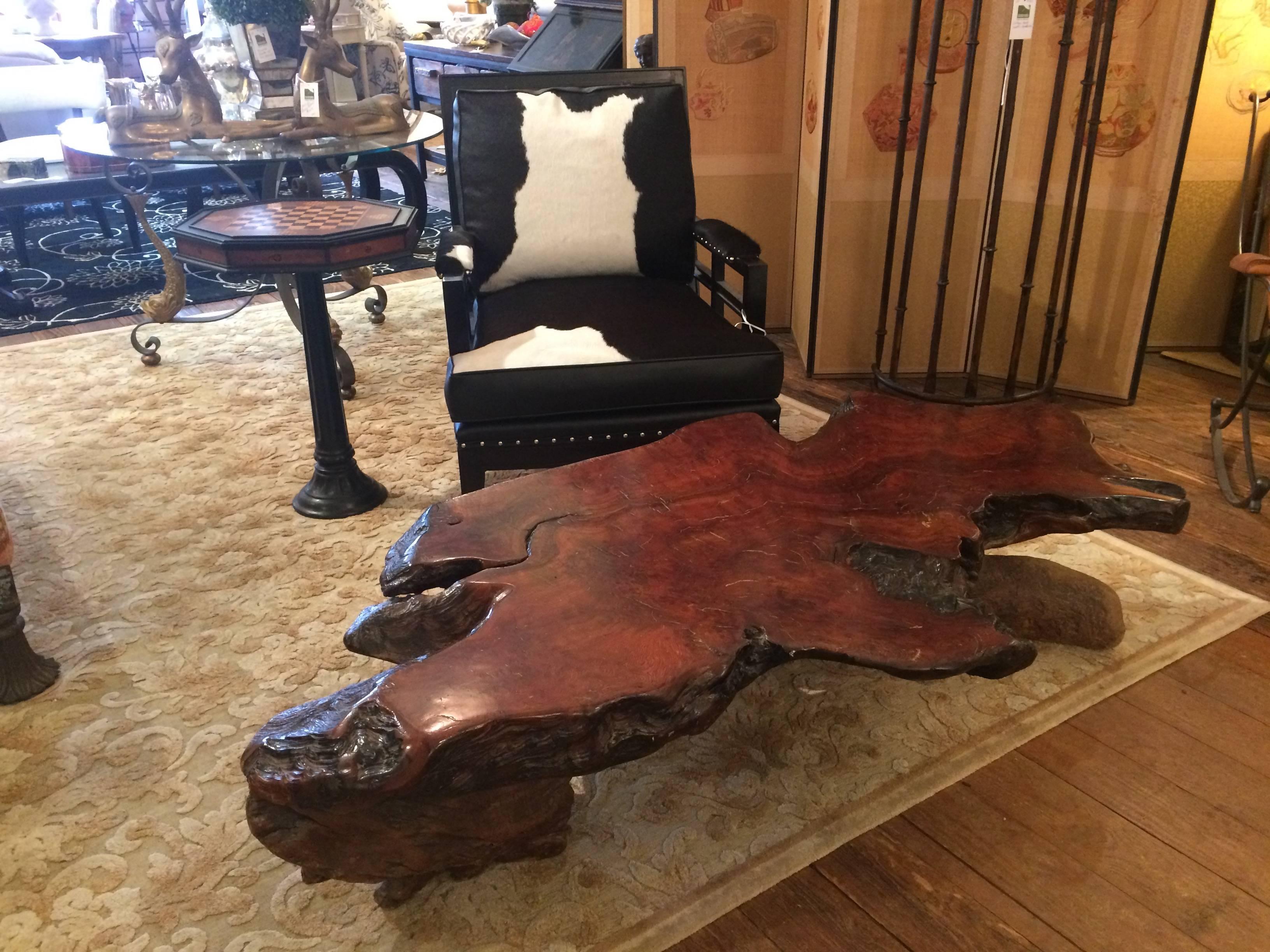 Dramatic Nakashima style large root wood coffee table. Biomorphic shaped top above two naturally shaped similar supports.
  