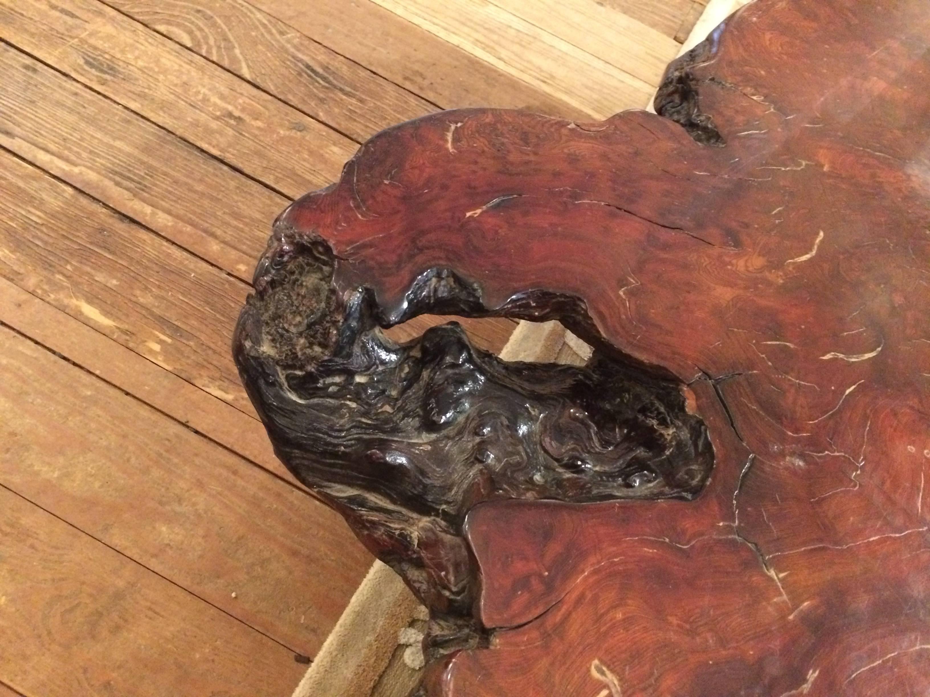 Mid-20th Century Very Dramatic Organic Nakashima Style Large Root Wood Coffee Table