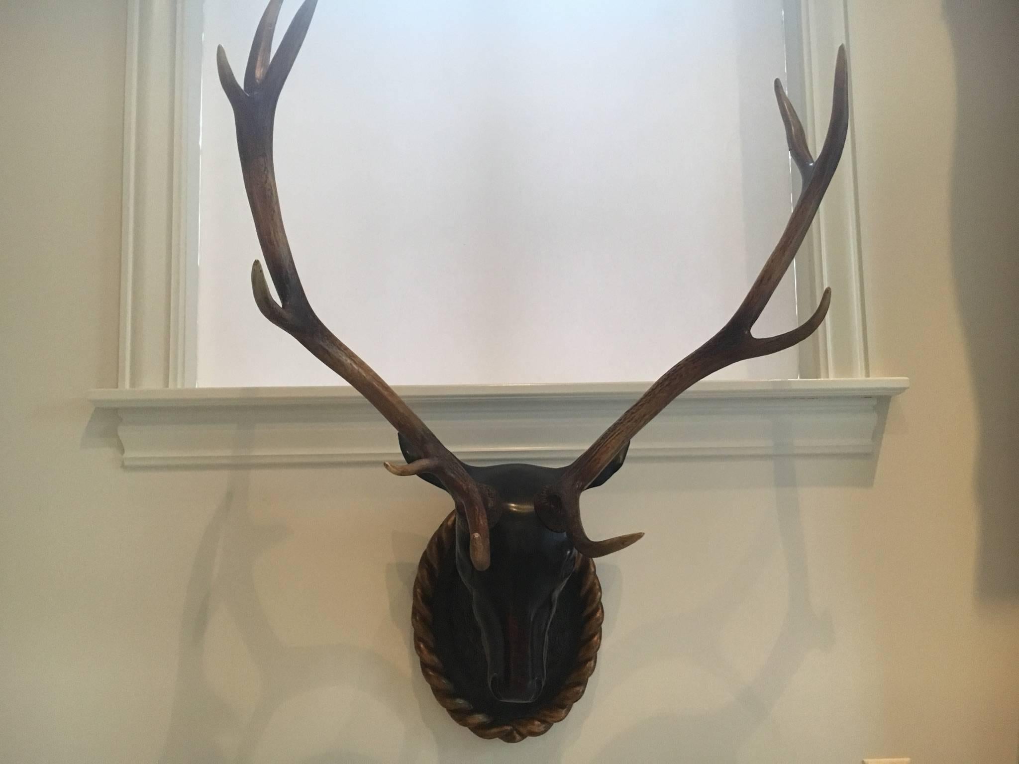 stag head wall mount