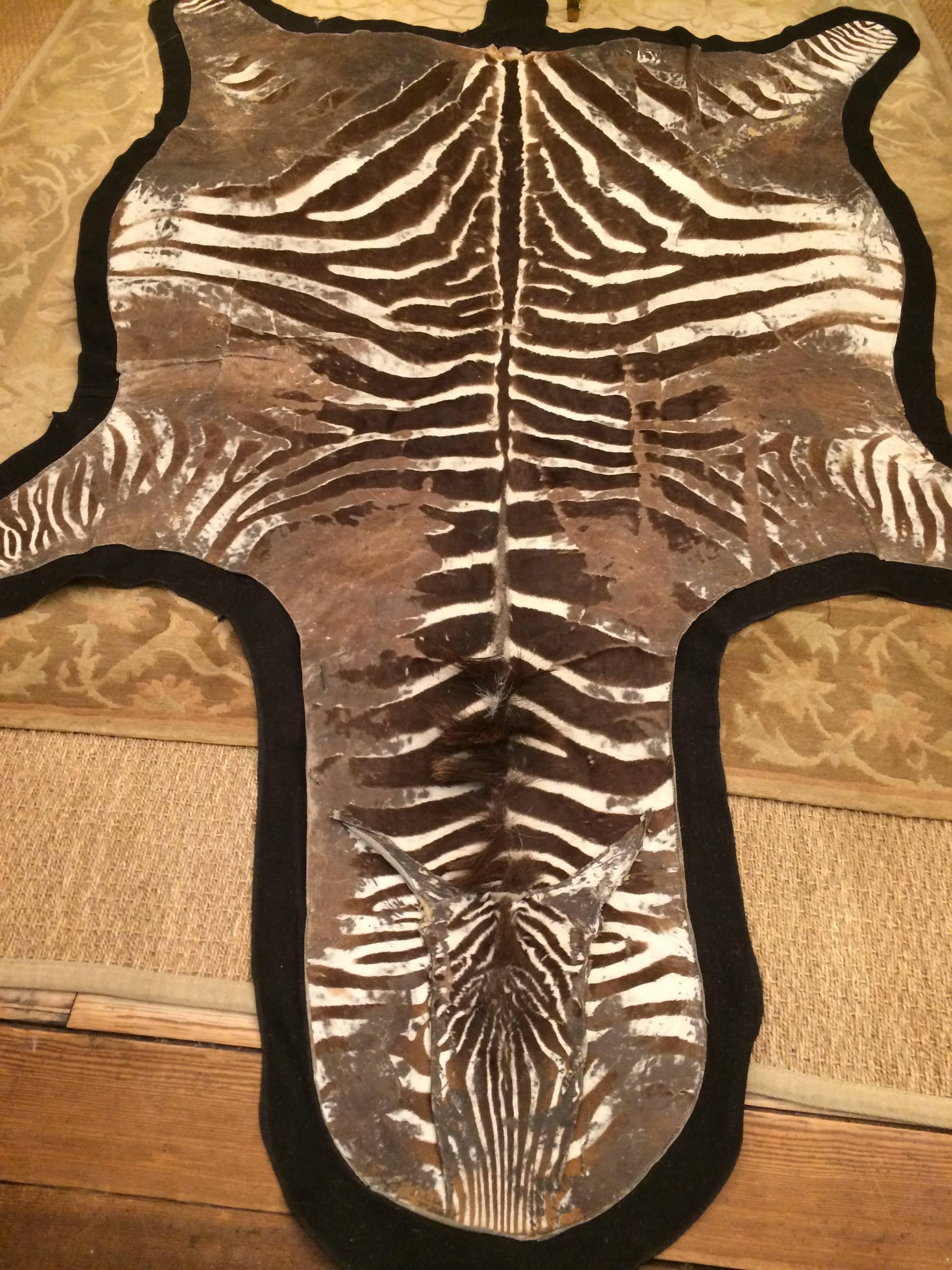 Chic Authentic African Burchell Zebra Hide Rug In Good Condition In Hopewell, NJ