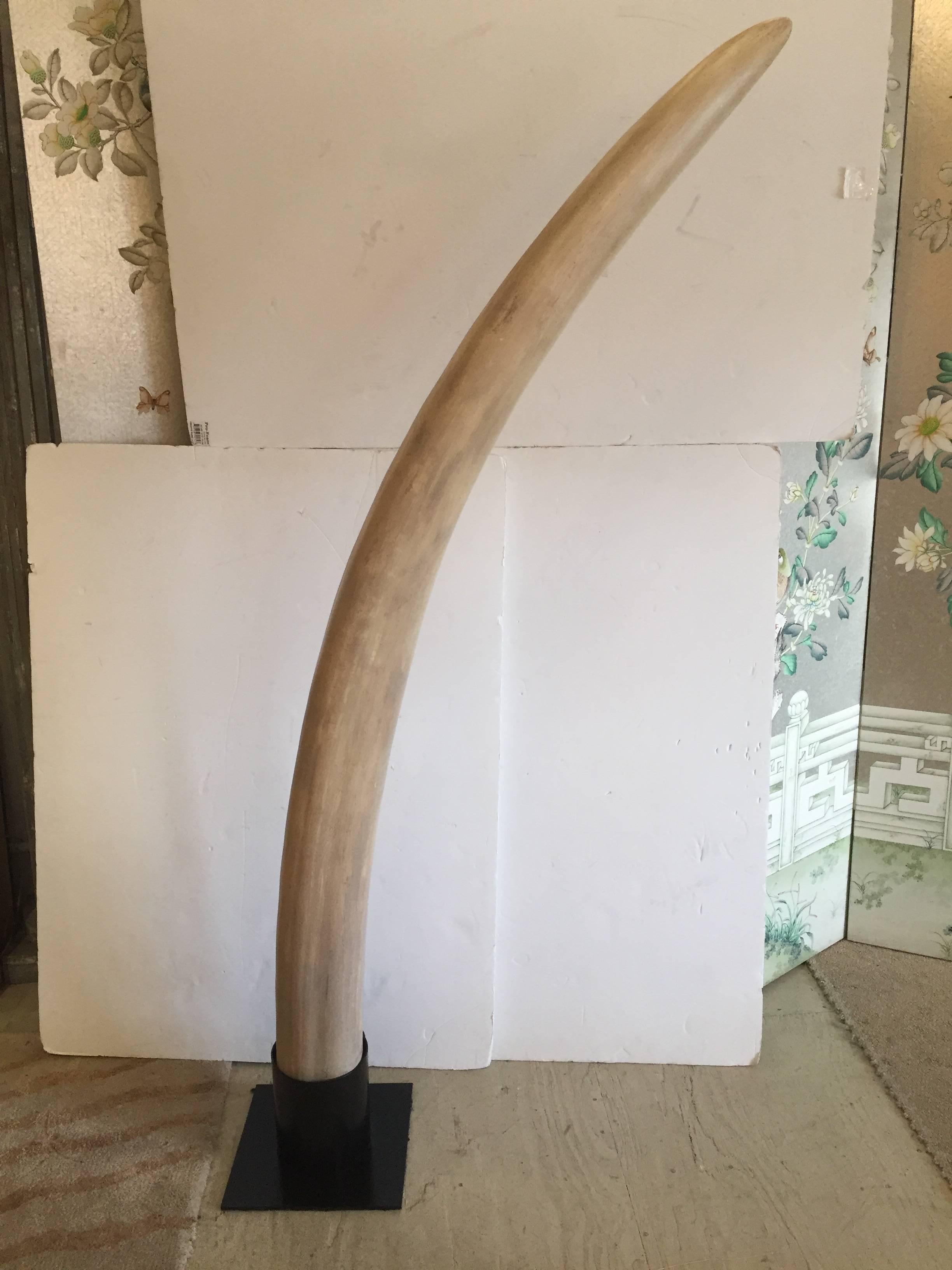Unbelievably theatrical pair of very tall faux elephant tusks with fabulous custom black iron bases. Base 12” x 12”
Height 70” floor to tip of tusk.