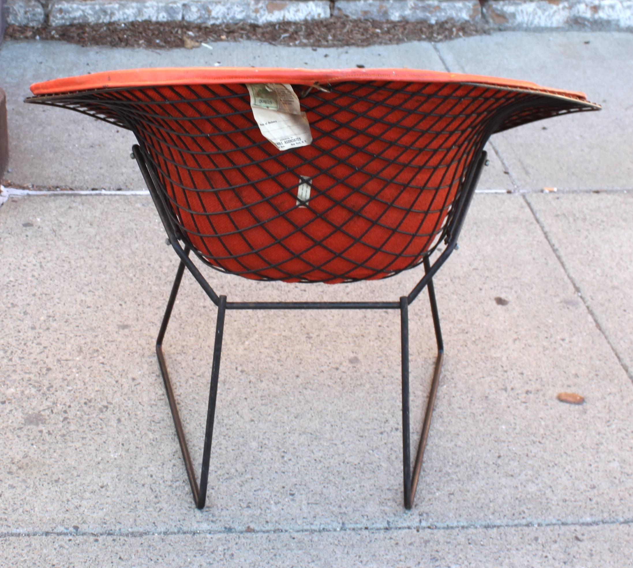 Iron Pair of Bertoia Diamond Chairs by Knoll with Original Shells