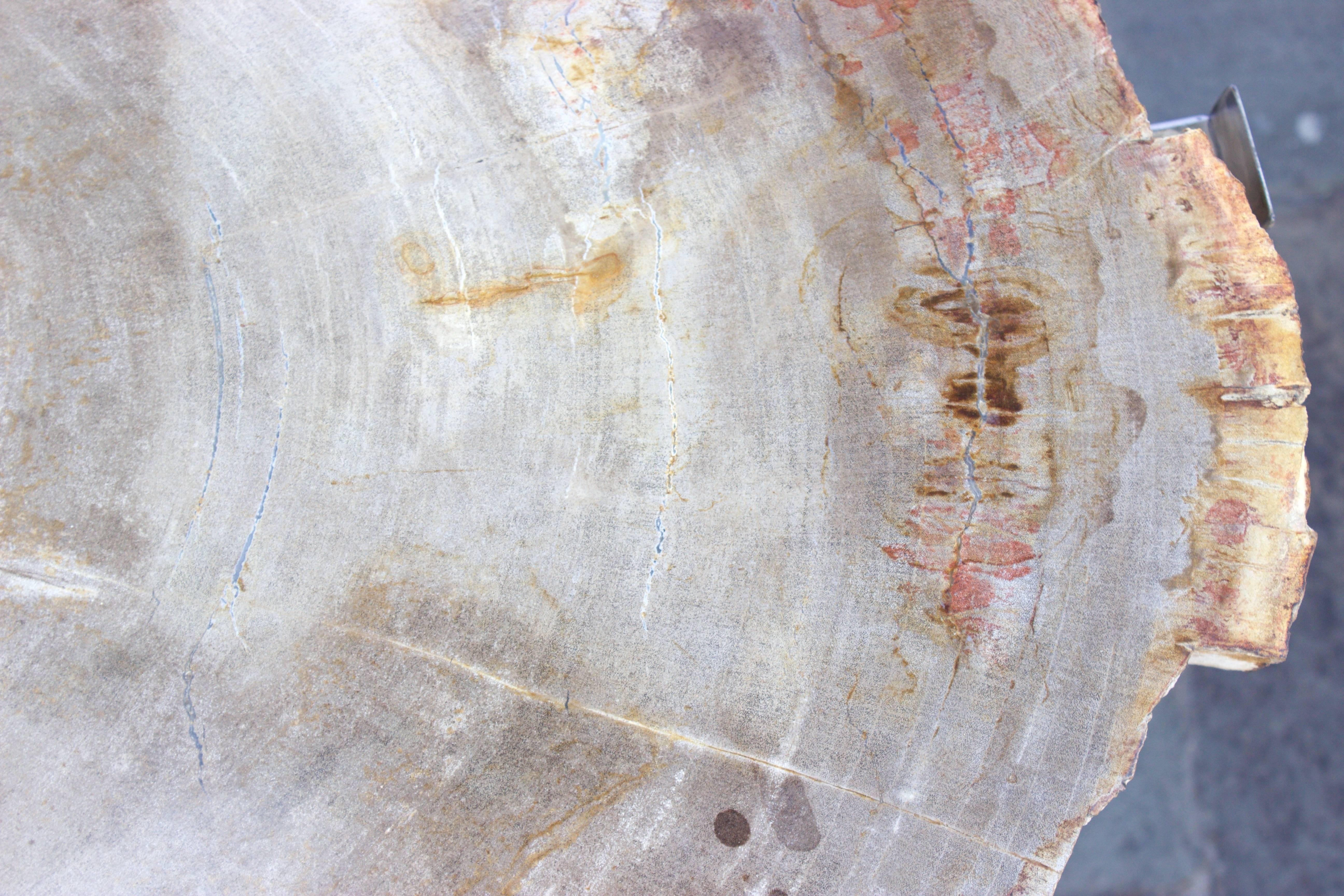 Contemporary Pair of Petrified Wood Tables with Chrome-Plated Steel Base For Sale