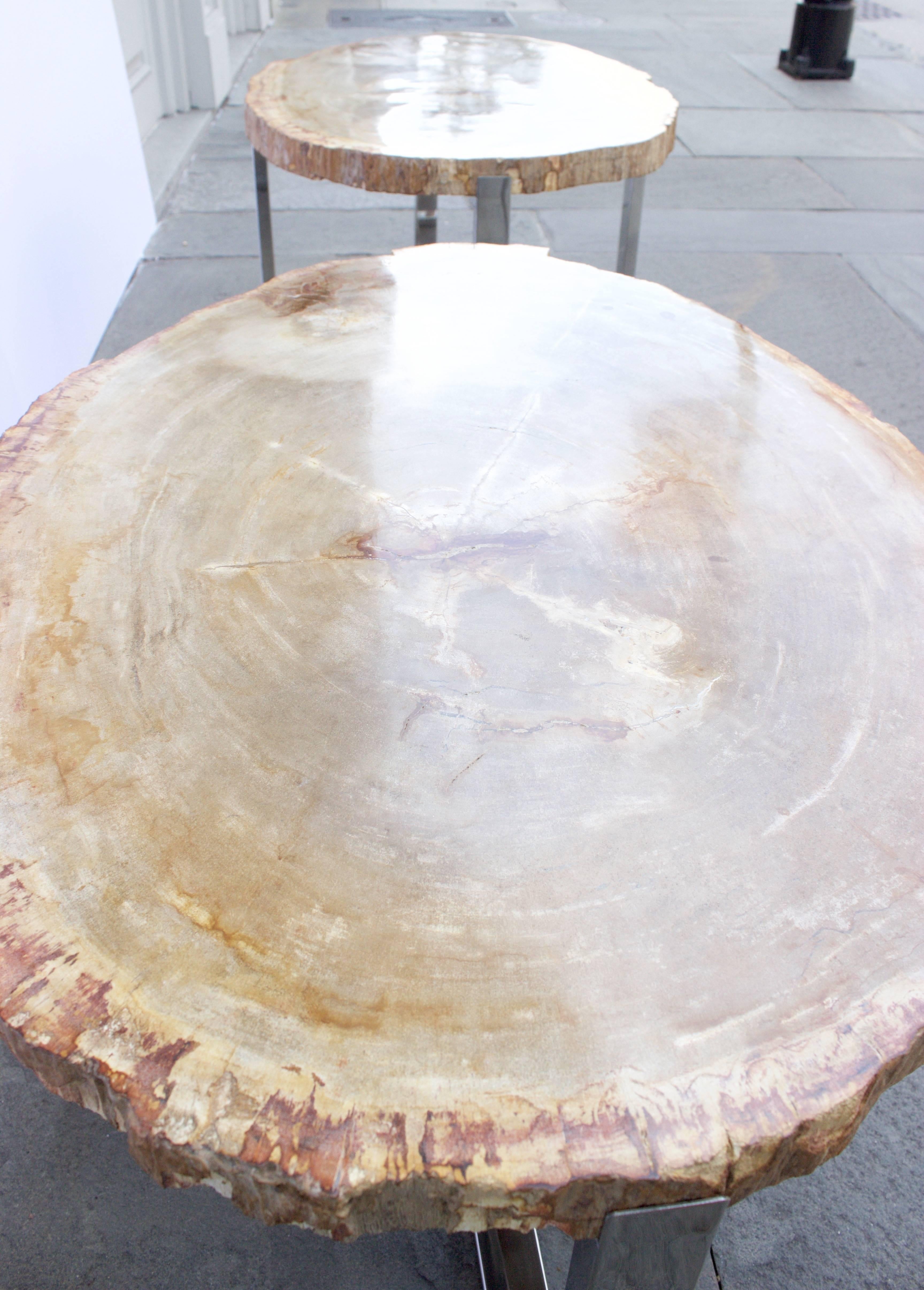 Pair of Petrified Wood Tables with Chrome-Plated Steel Base For Sale 1