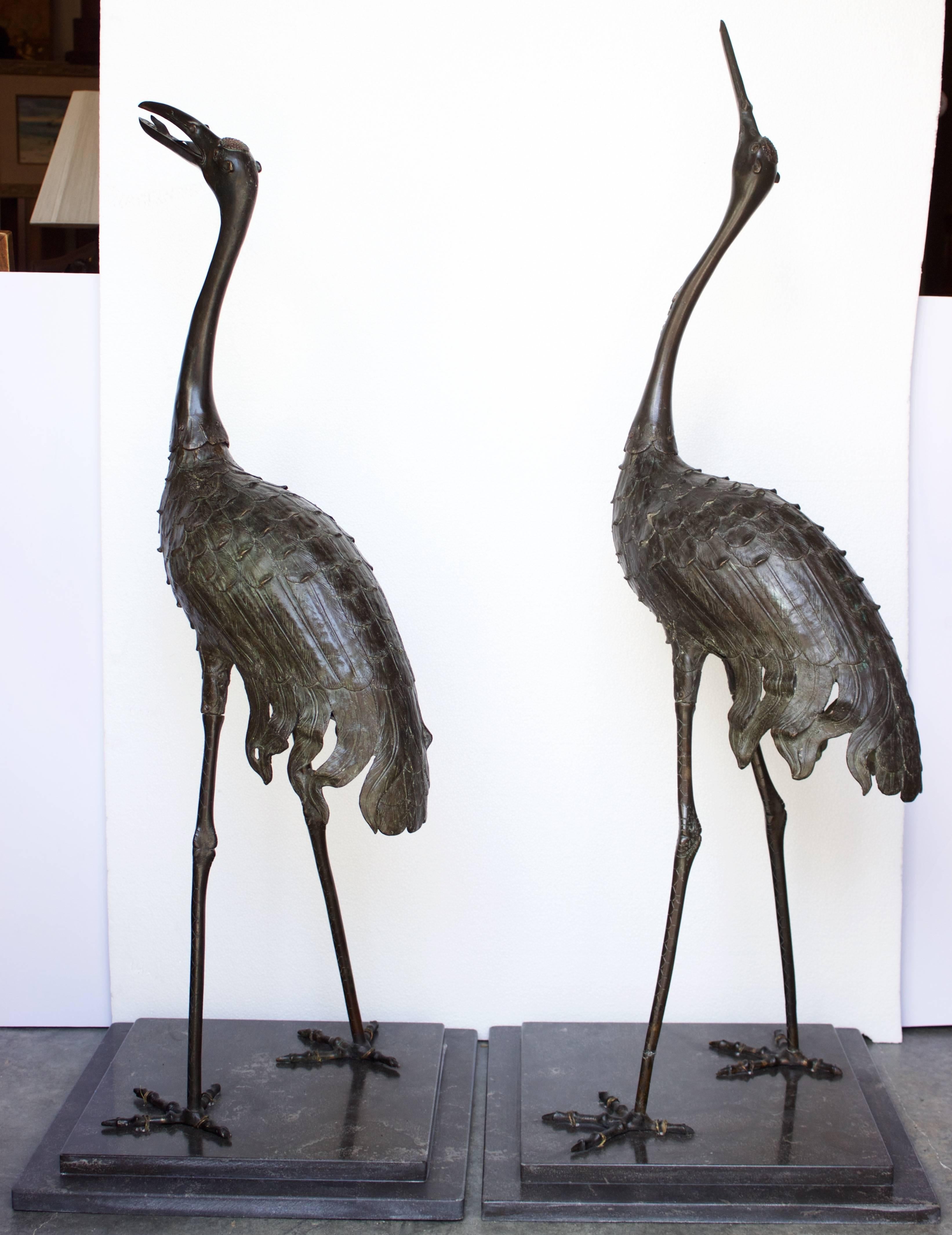 Elegant pair of bronze cranes of the Meiji Pd with finely detailed beak, feathers, legs and feet. Raised on black granite base (recent). Probably sculpted as garden ornament in a bronze body with green color and red spot on top of the head.
Red