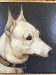 Alfred Wheeler "Bull Terrier, Sherborne Queen"