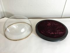 Dimuintive Victorian Museum Dome Display