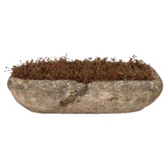 19th Century French Oblong Stone Planter
