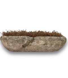 19th Century French Oblong Stone Planter