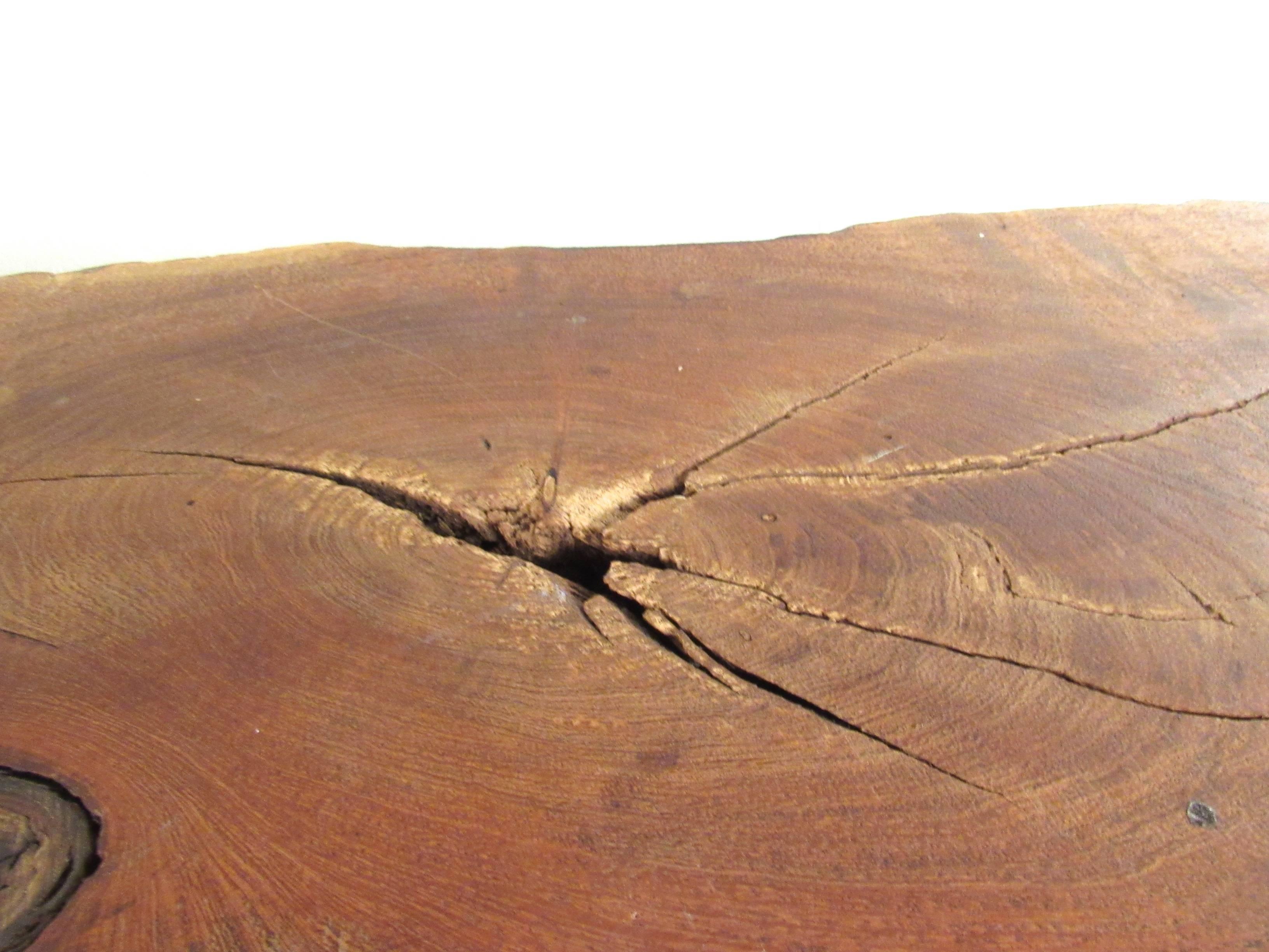 Petrified Wood Vintage Rustic Freeform Tree Slab Coffee Table