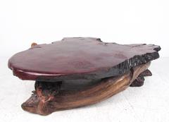 Stunning Mid-Century Tree Slab Coffee Table