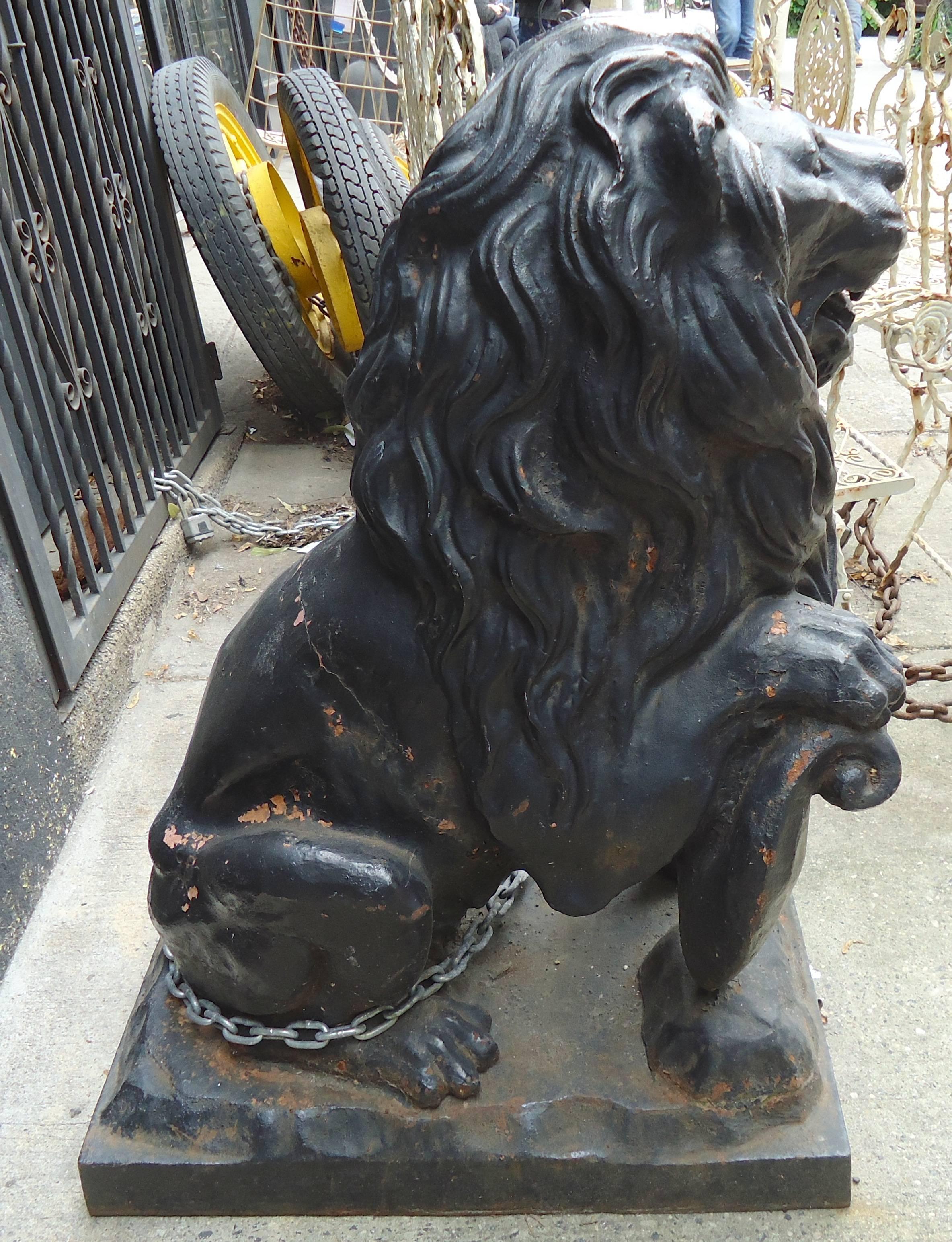 Vintage iron outdoor garden lions with shields. Heavy and solid iron sculptures, great as driveway ornaments. Need only a fresh coat of paint.

(Please confirm item location - NY or NJ - with dealer).
    