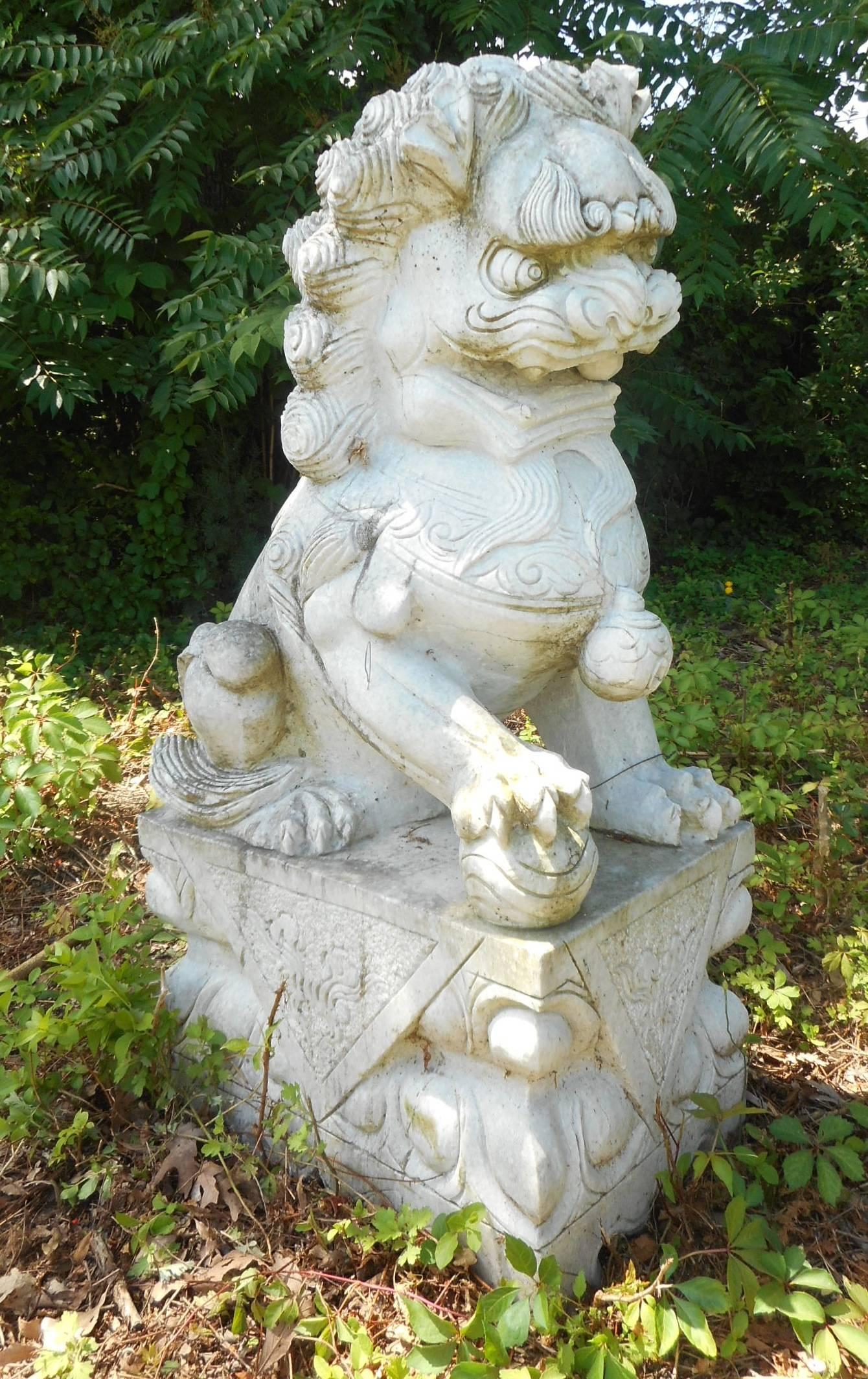 This beautiful pair of Chinese foo dogs are made of solid carved white marble and stand at 48 inches tall. This traditional piece has curly hair and sits on a pedestal. Elegant design shows intricate detail and quality construction. This graceful