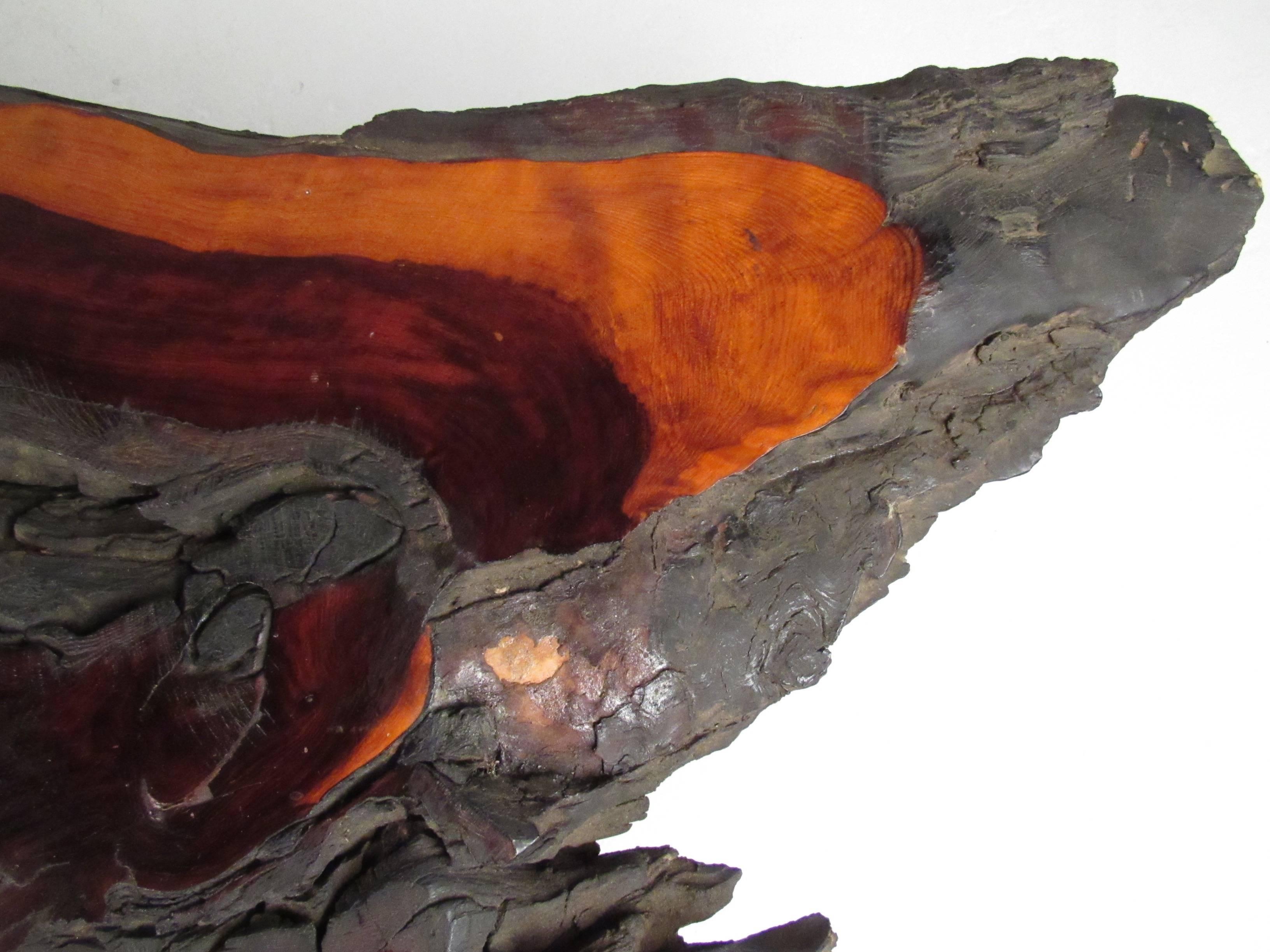 Table basse élégante mi-siècle moderne en loupe d'arbre Bon état - En vente à Brooklyn, NY