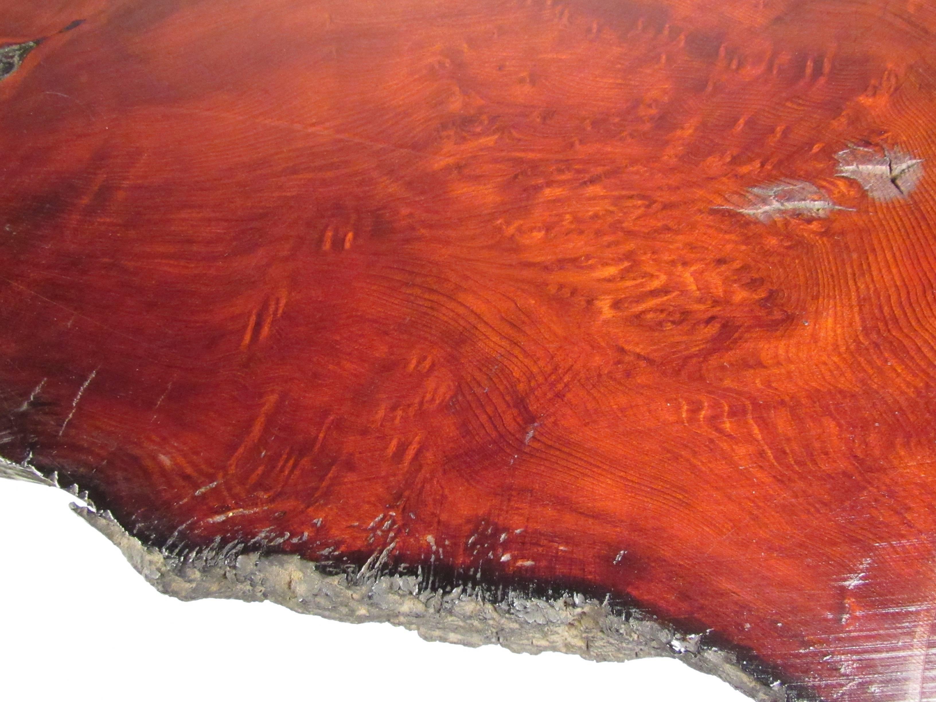 Milieu du XXe siècle Table basse élégante mi-siècle moderne en loupe d'arbre en vente
