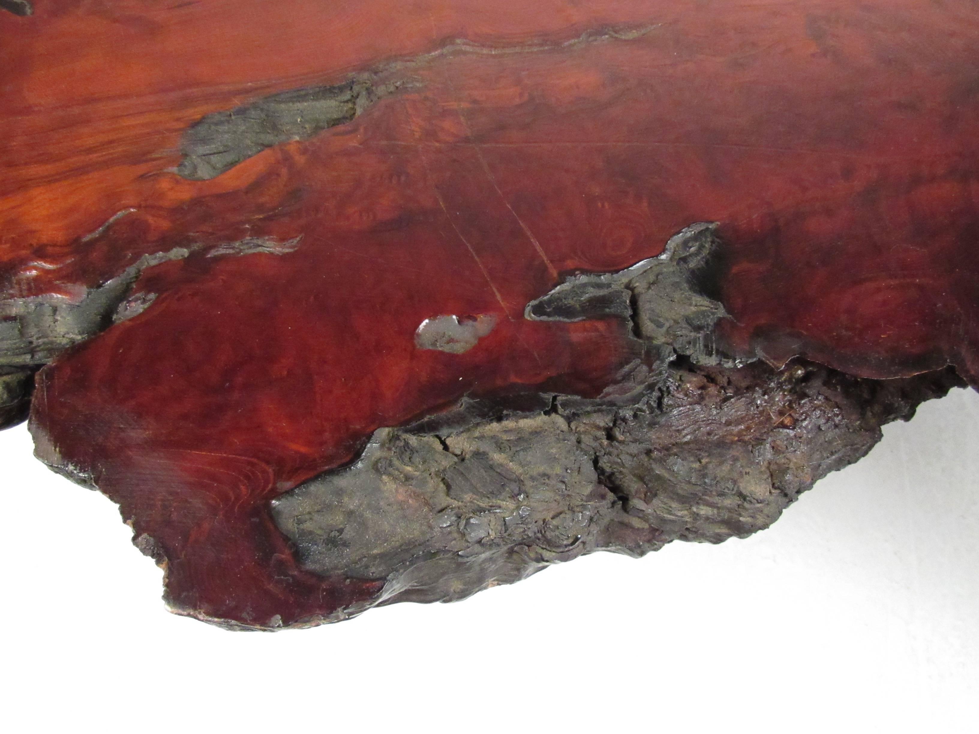 Table basse élégante mi-siècle moderne en loupe d'arbre en vente 3