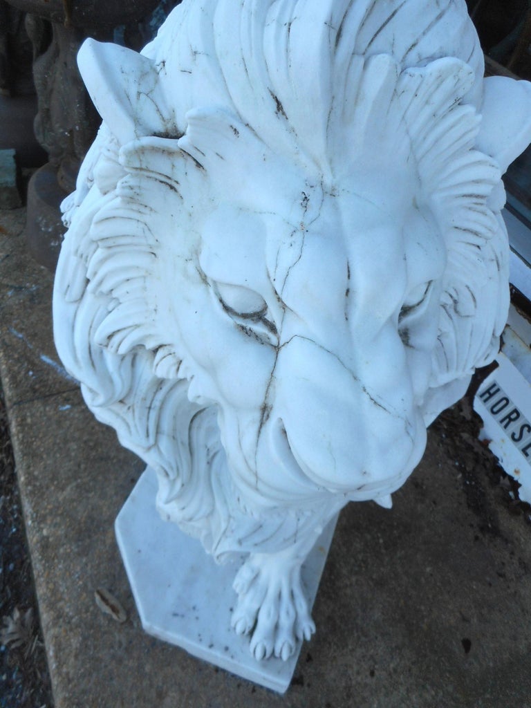 Elegant Pair of White Marble Lion Statues For Sale at 1stdibs