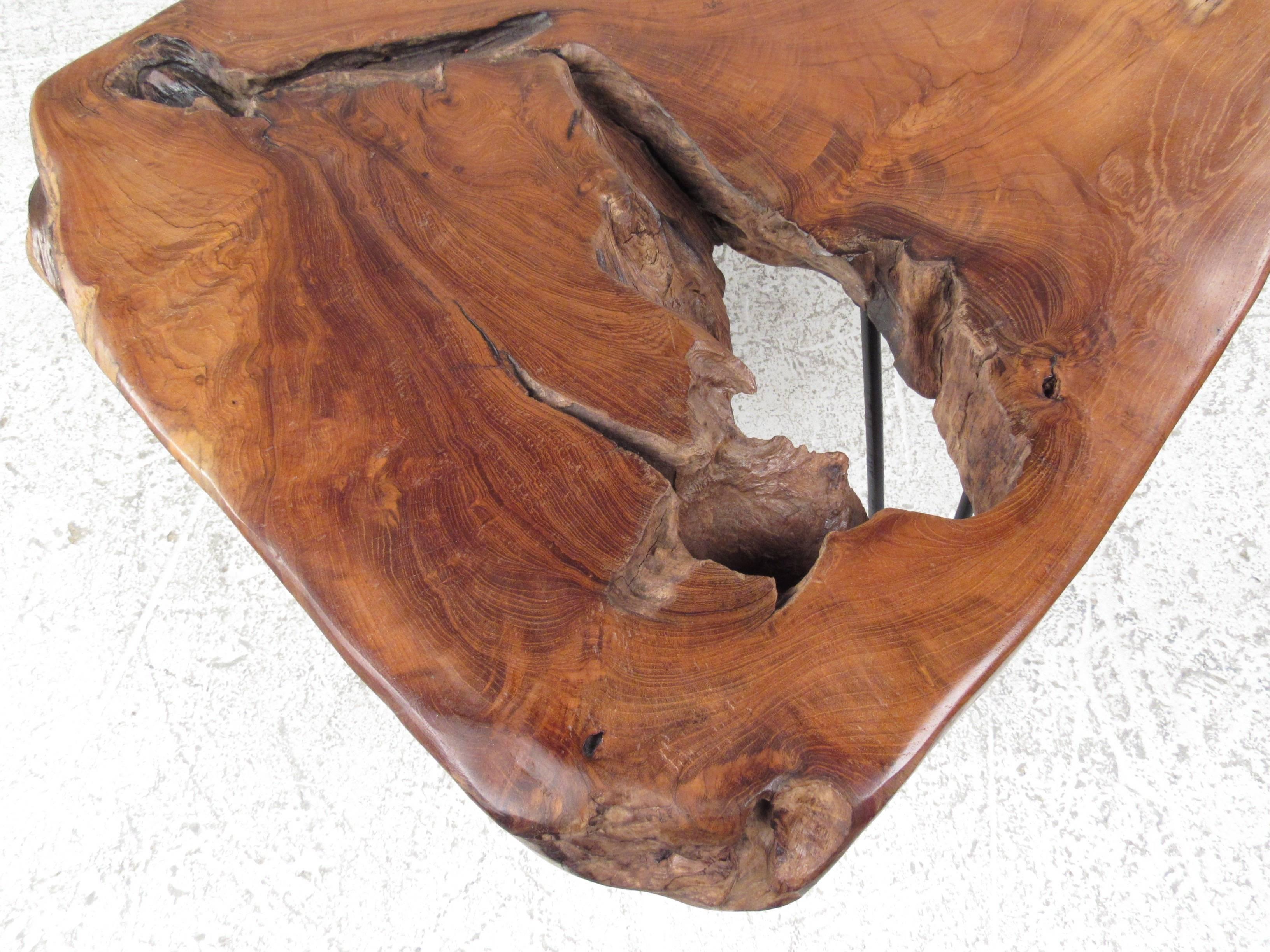 American Rustic Modern Free Edge Tree Slab Coffee Table on Hairpin Legs