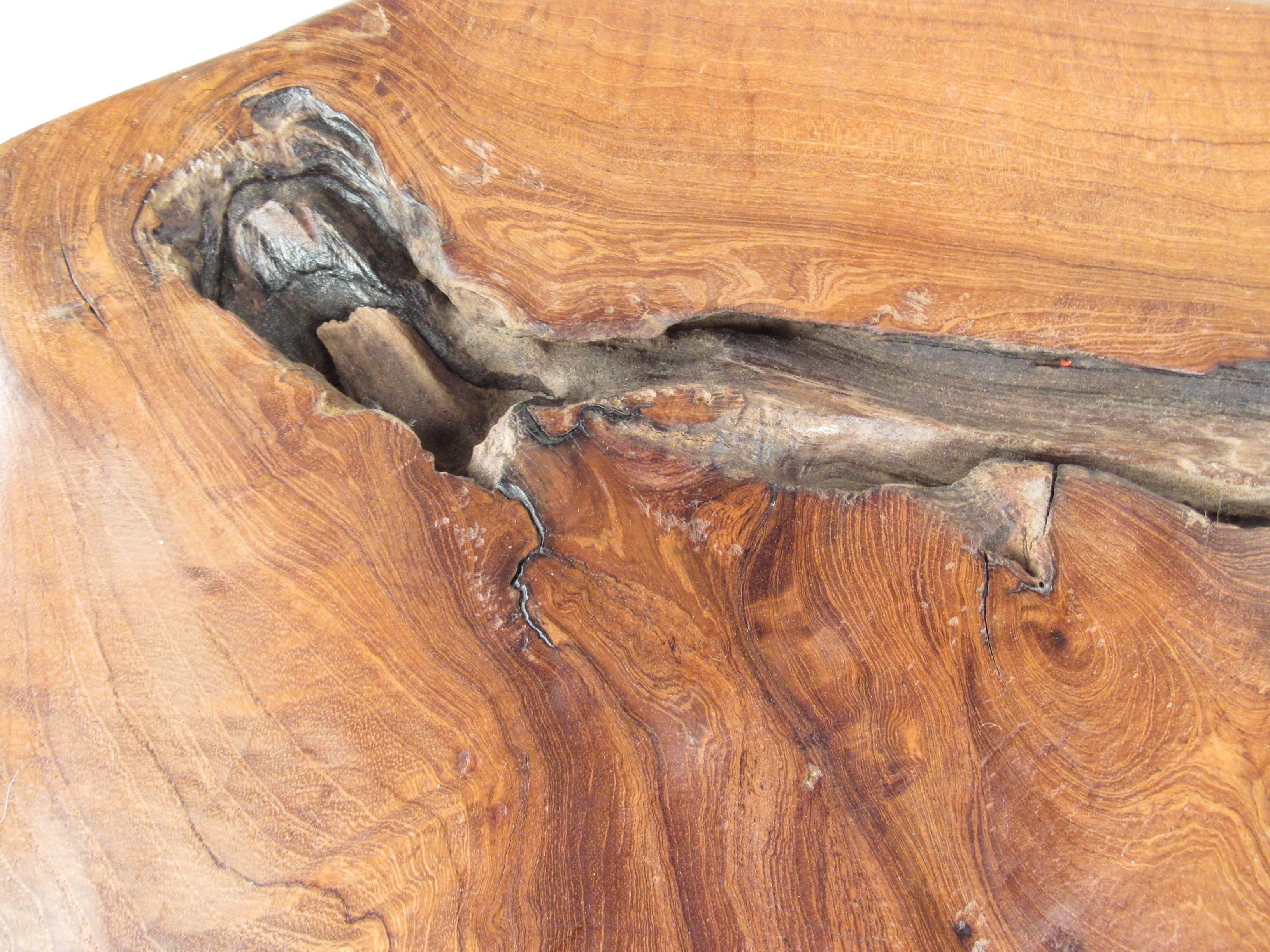 Rustic Modern Free Edge Tree Slab Coffee Table on Hairpin Legs 2