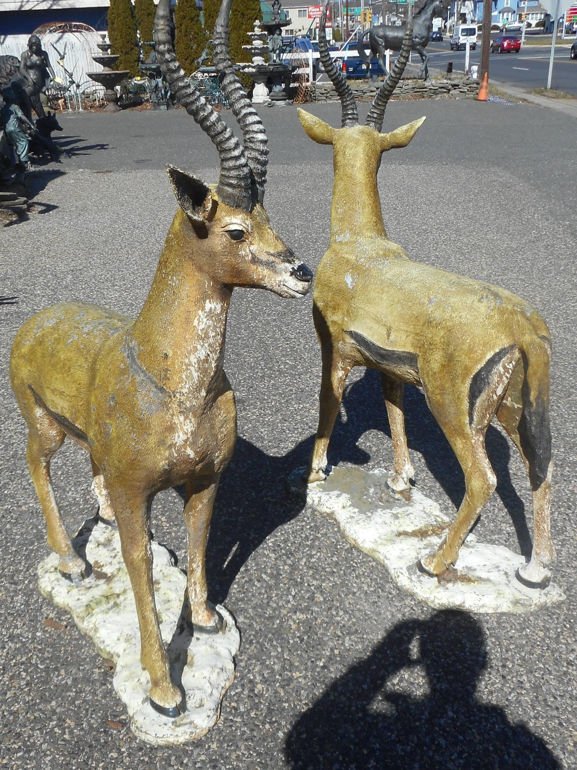 This stunning pair of bronze deer statues feature long curved horns, wide doe eyes, and hooves. The realistic features show quality with impressive detail throughout. Articulate colorful design and patinated finish offers beauty in any setting.