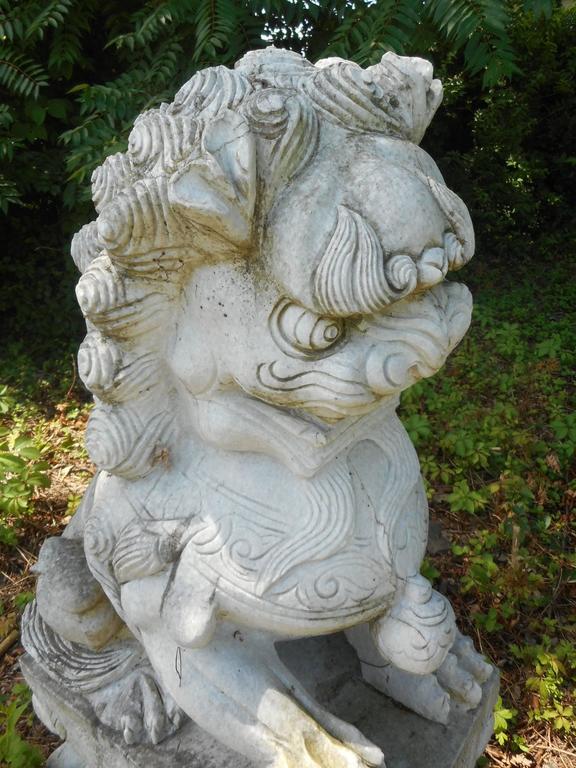 Impressive Pair of Marble Chinese Foo Dog Statues For Sale at 1stDibs