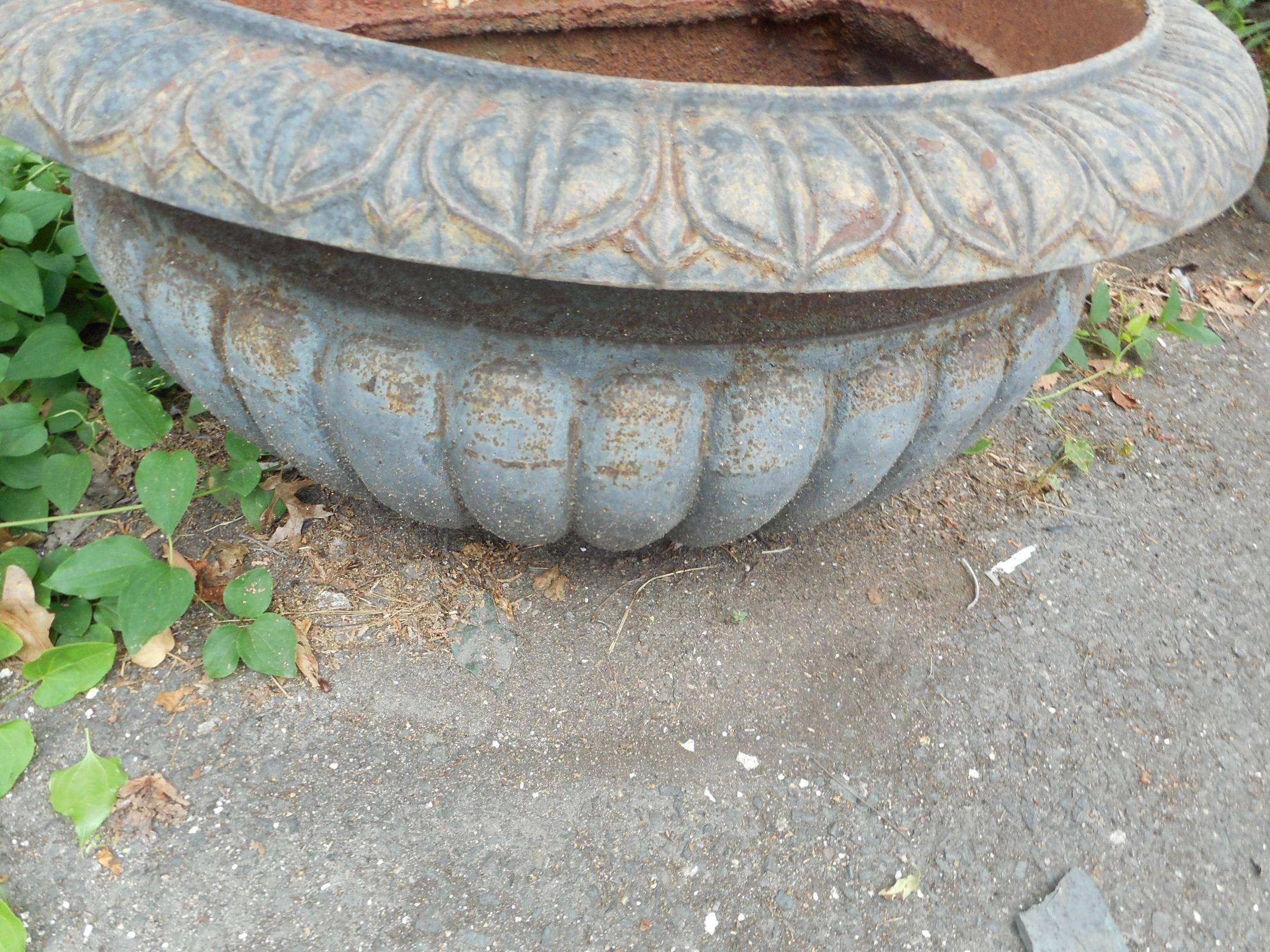 Renaissance Amazing Cast Iron Lion Water Fountain