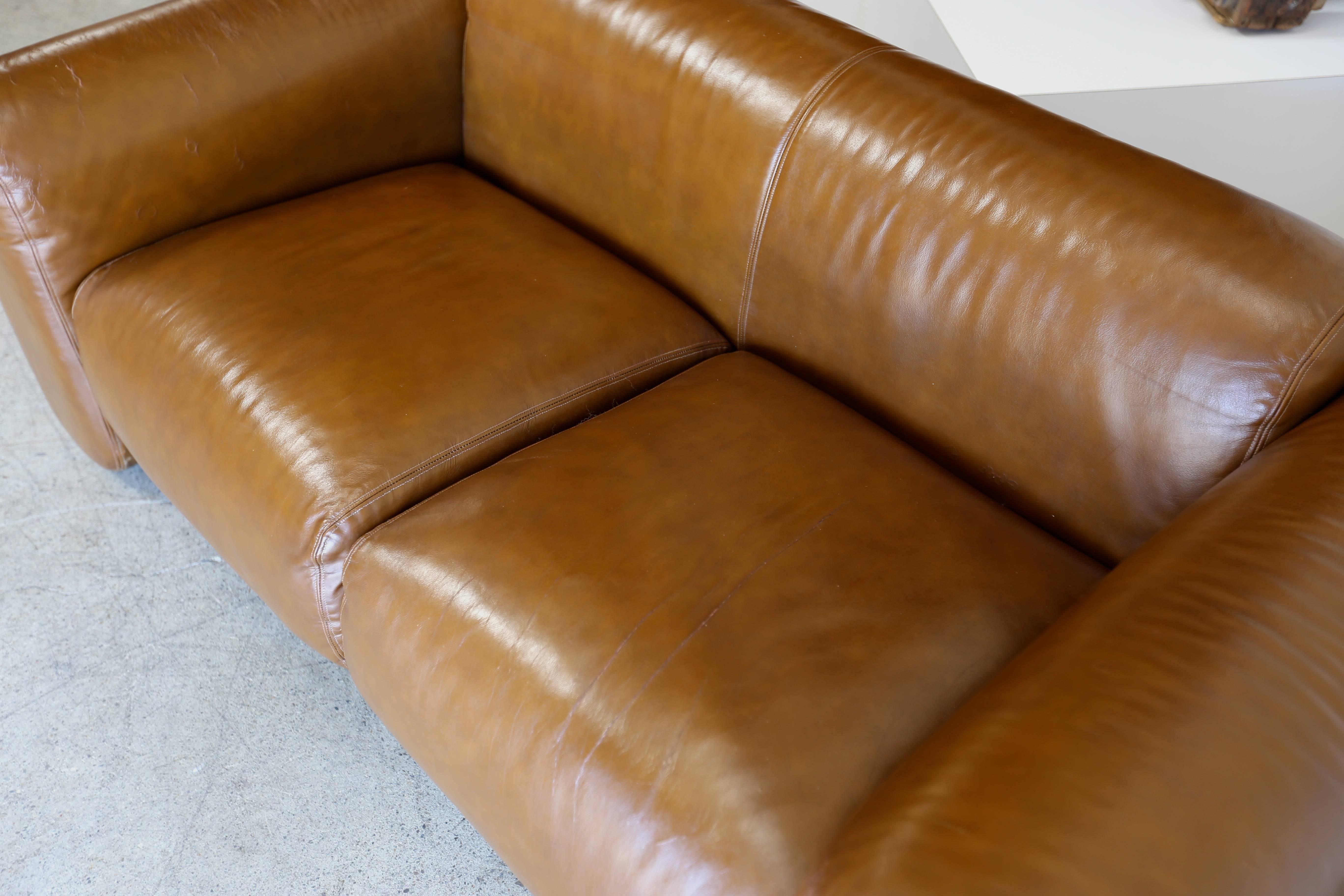 20th Century Pair of Leather Sofas by Stendig