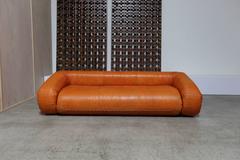 "Anfibio" Sofa by Alessandro Becchi