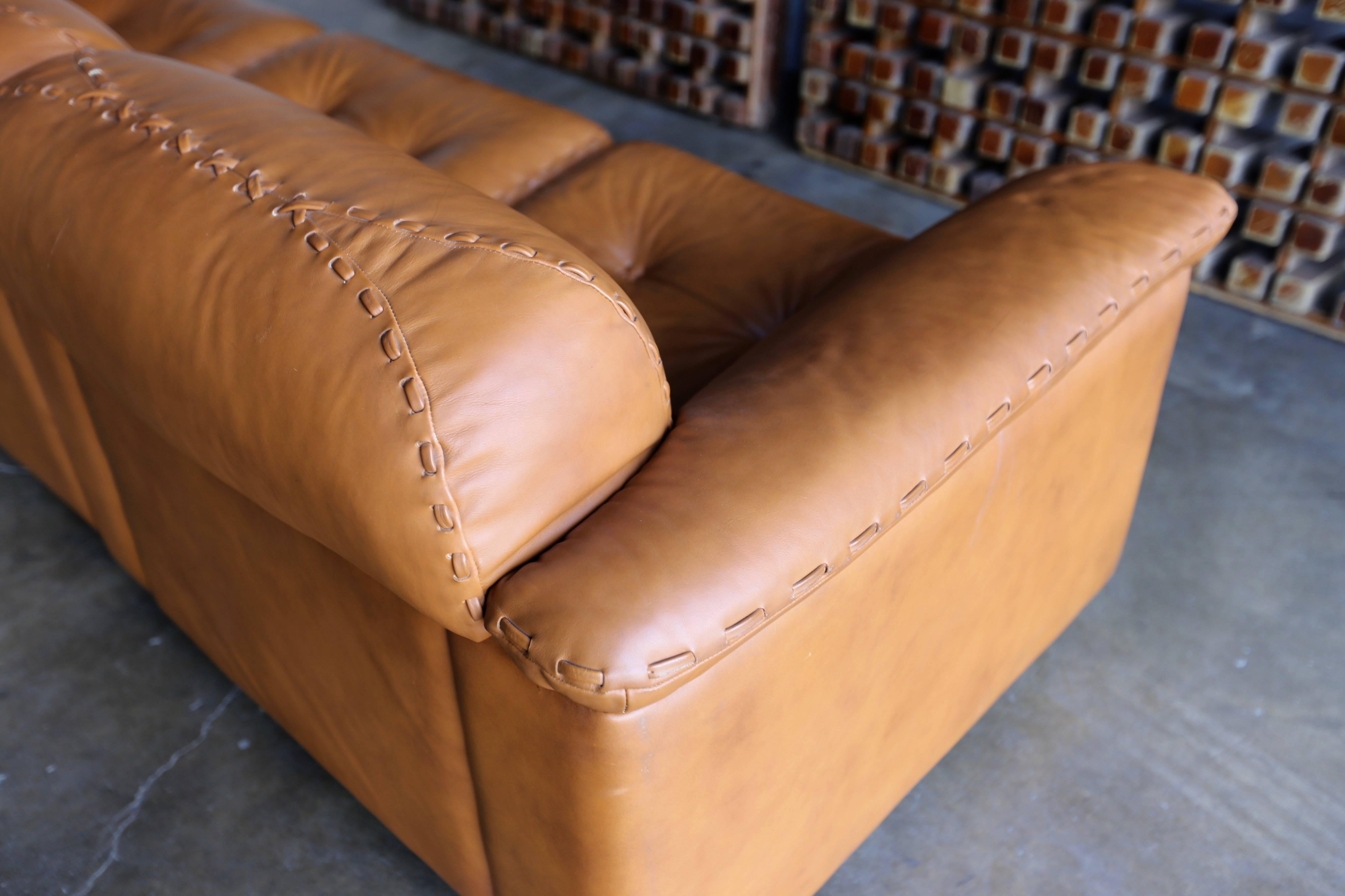 Leather DS 101 Sofa and Ottoman by De Sede 2